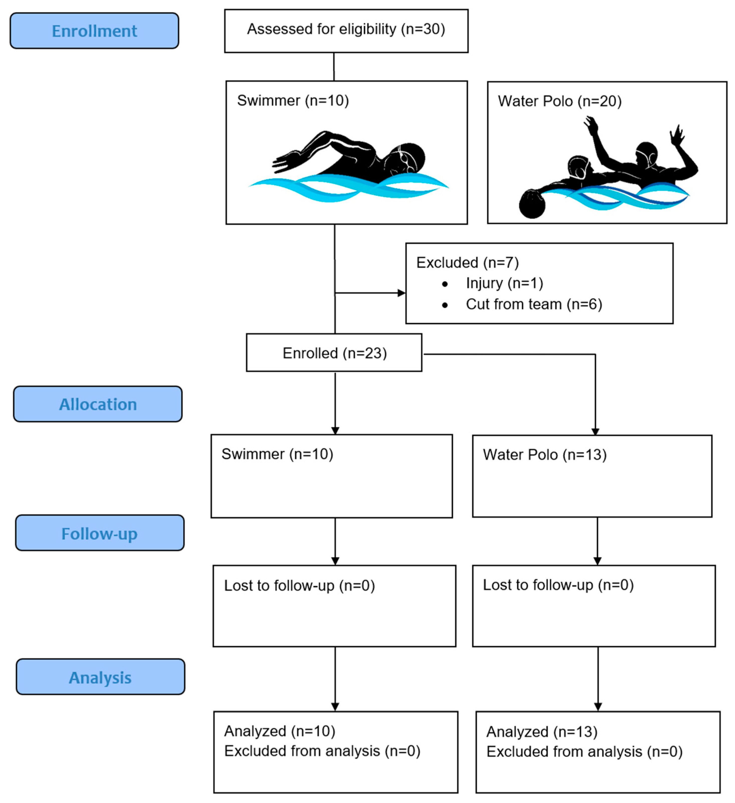 Nutrients 16 02393 g001