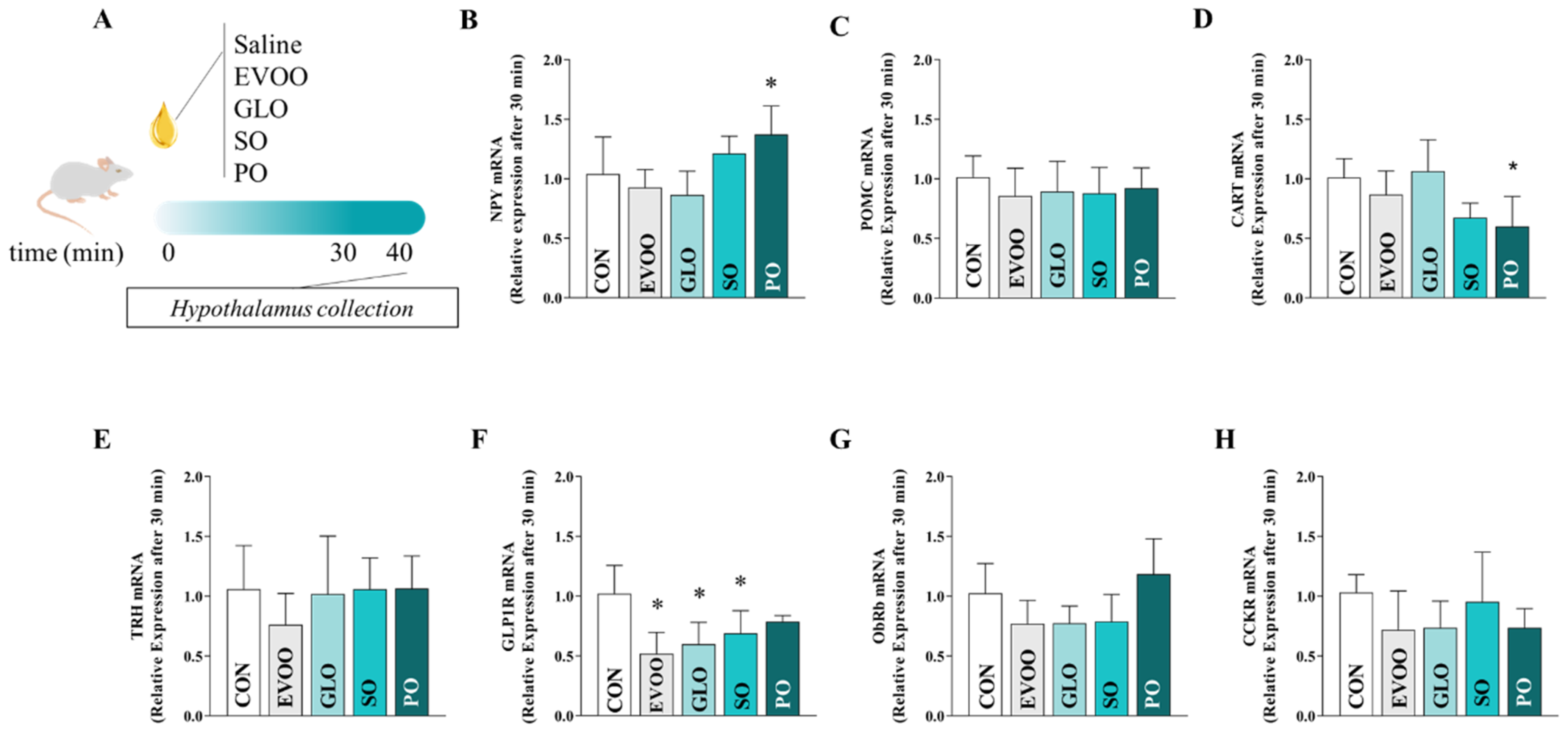 Nutrients 16 02397 g003