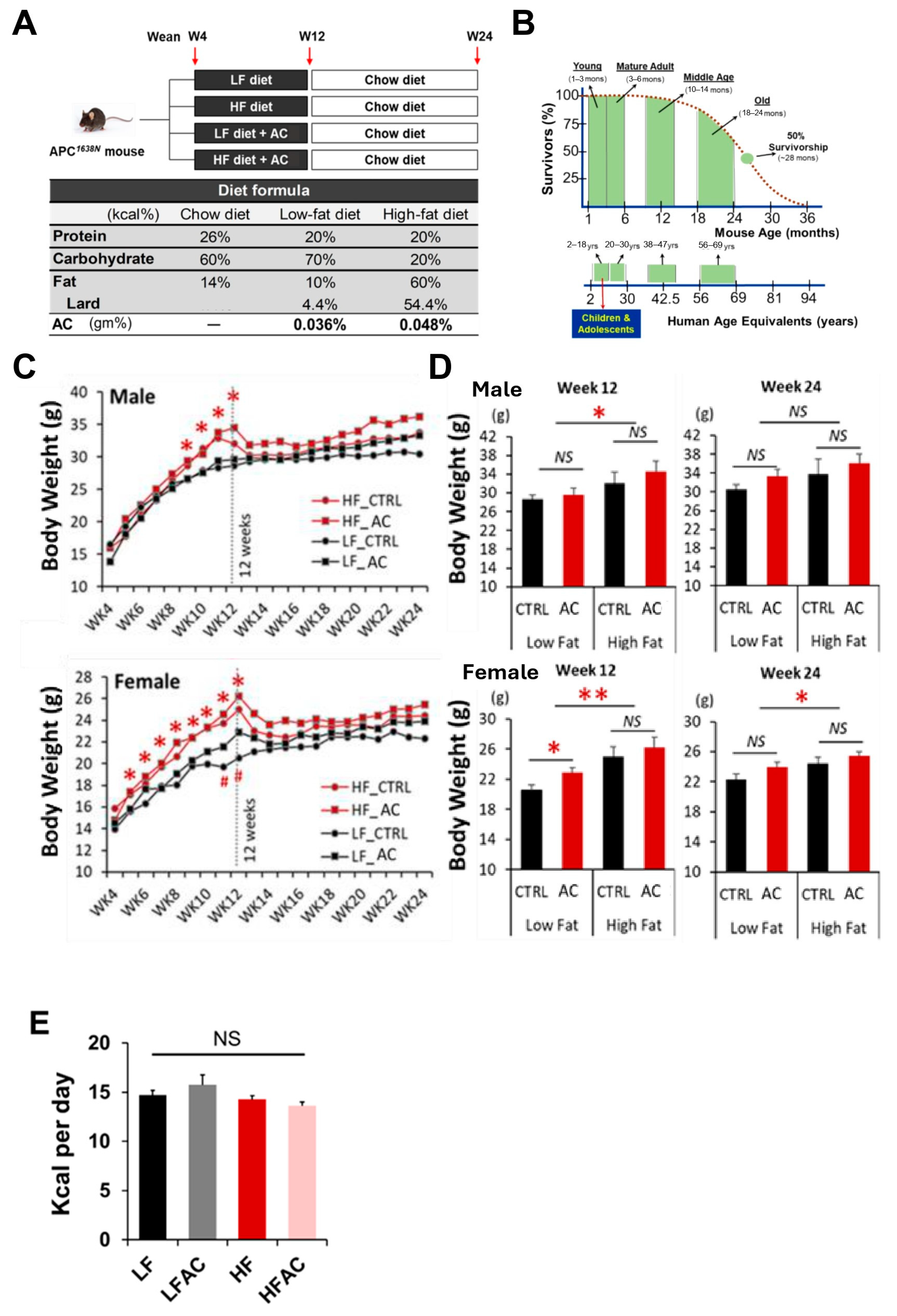Nutrients 16 02408 g001