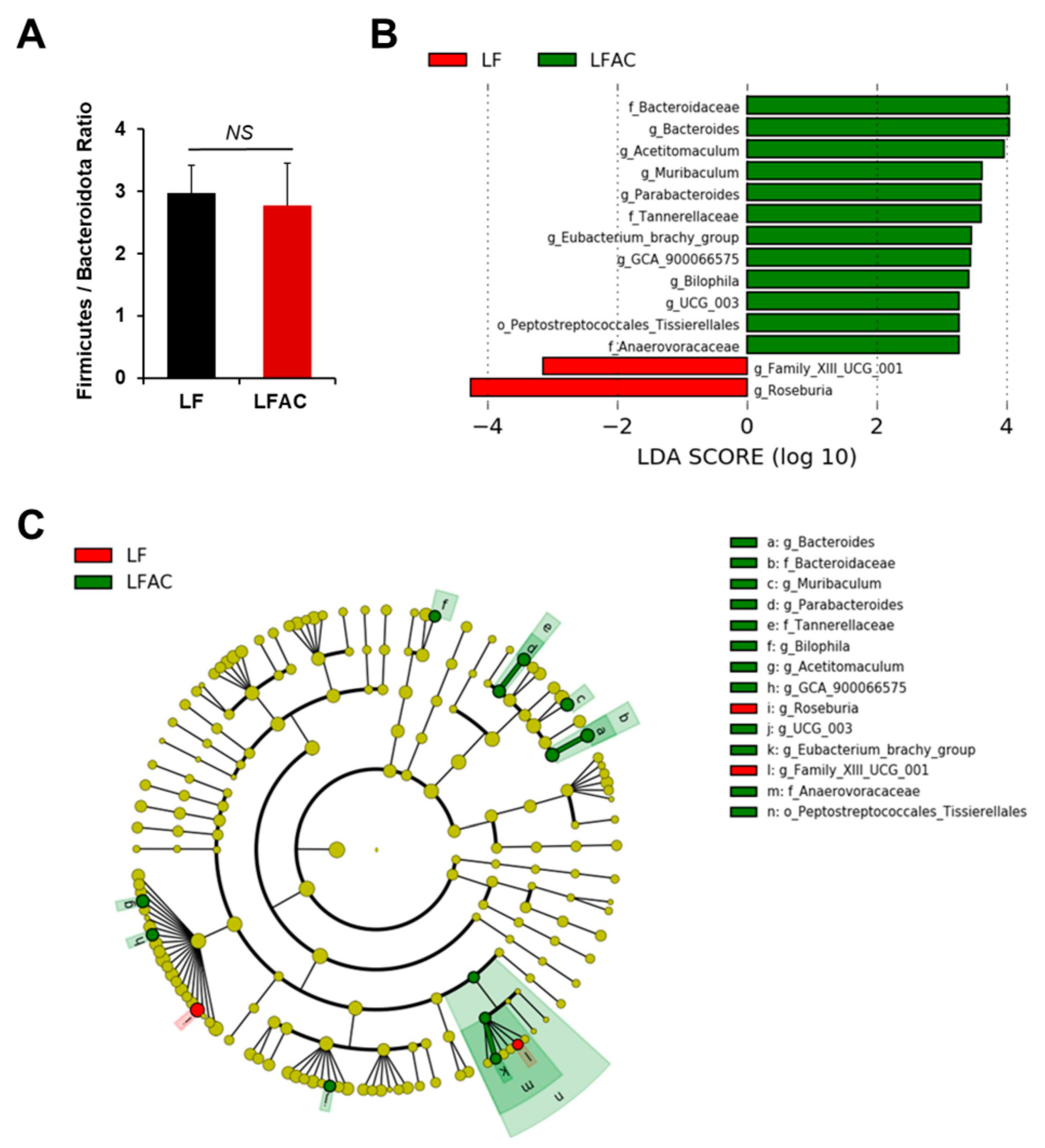 Nutrients 16 02408 g005