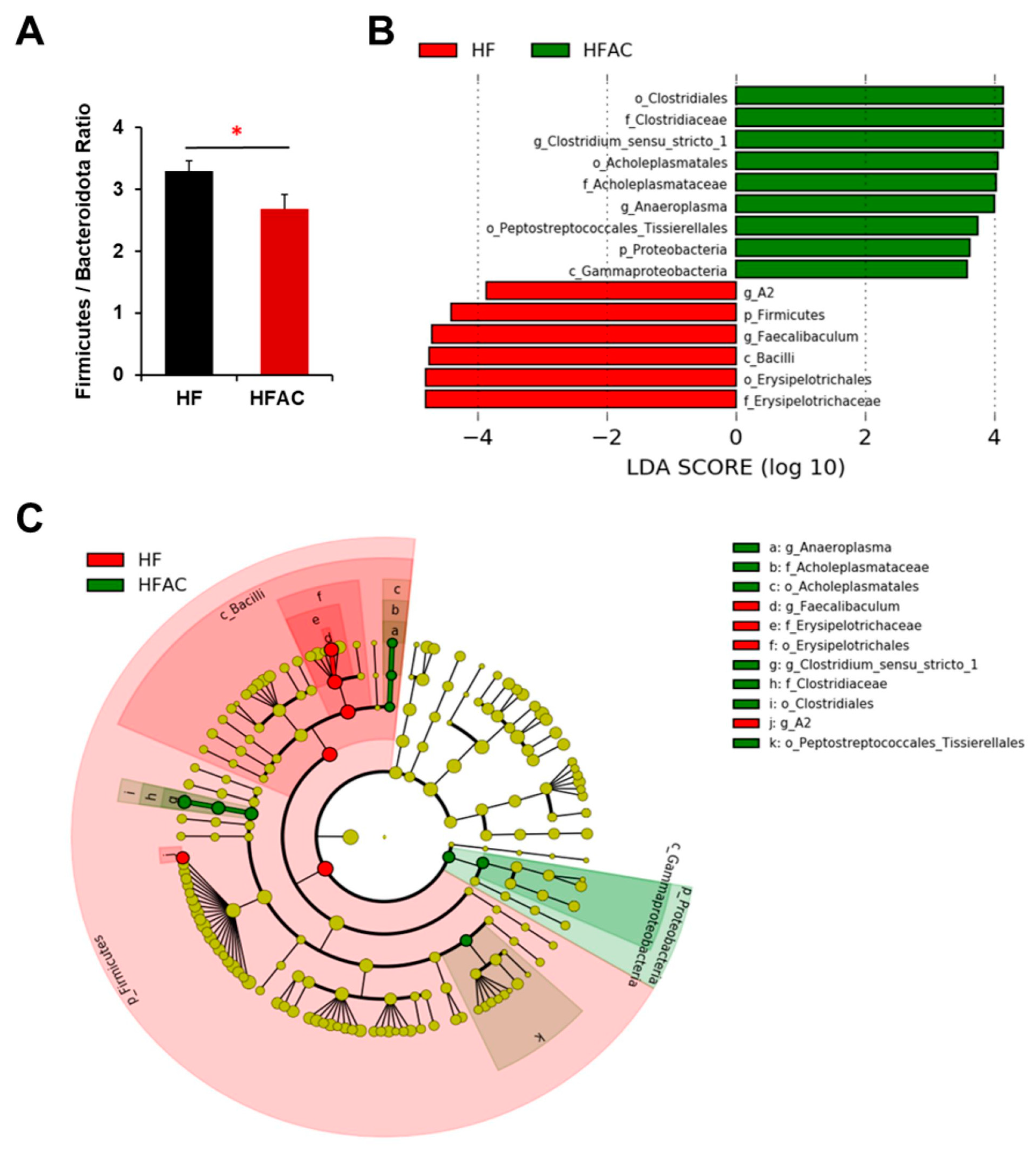 Nutrients 16 02408 g006