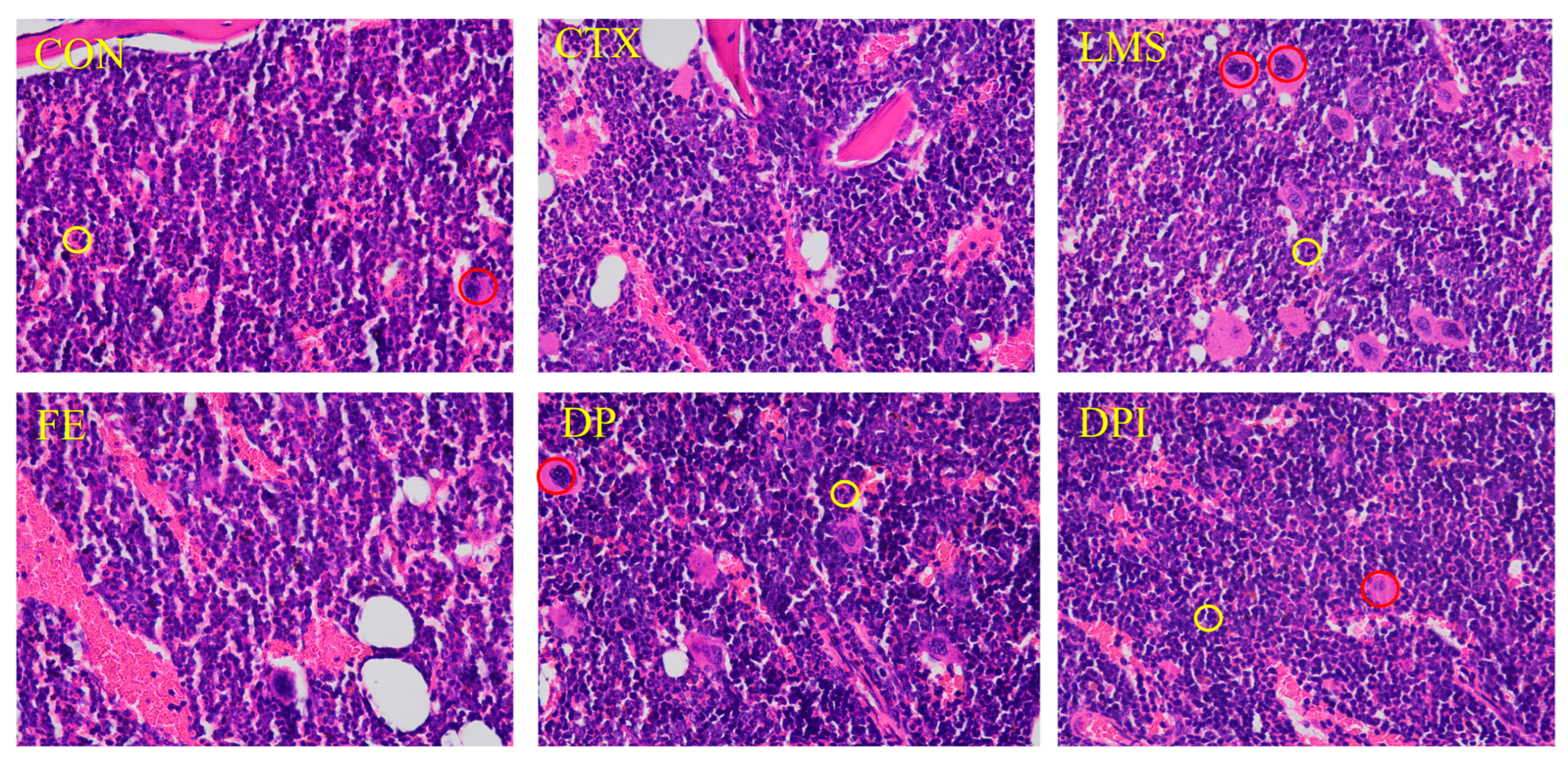 Nutrients 16 02413 g003