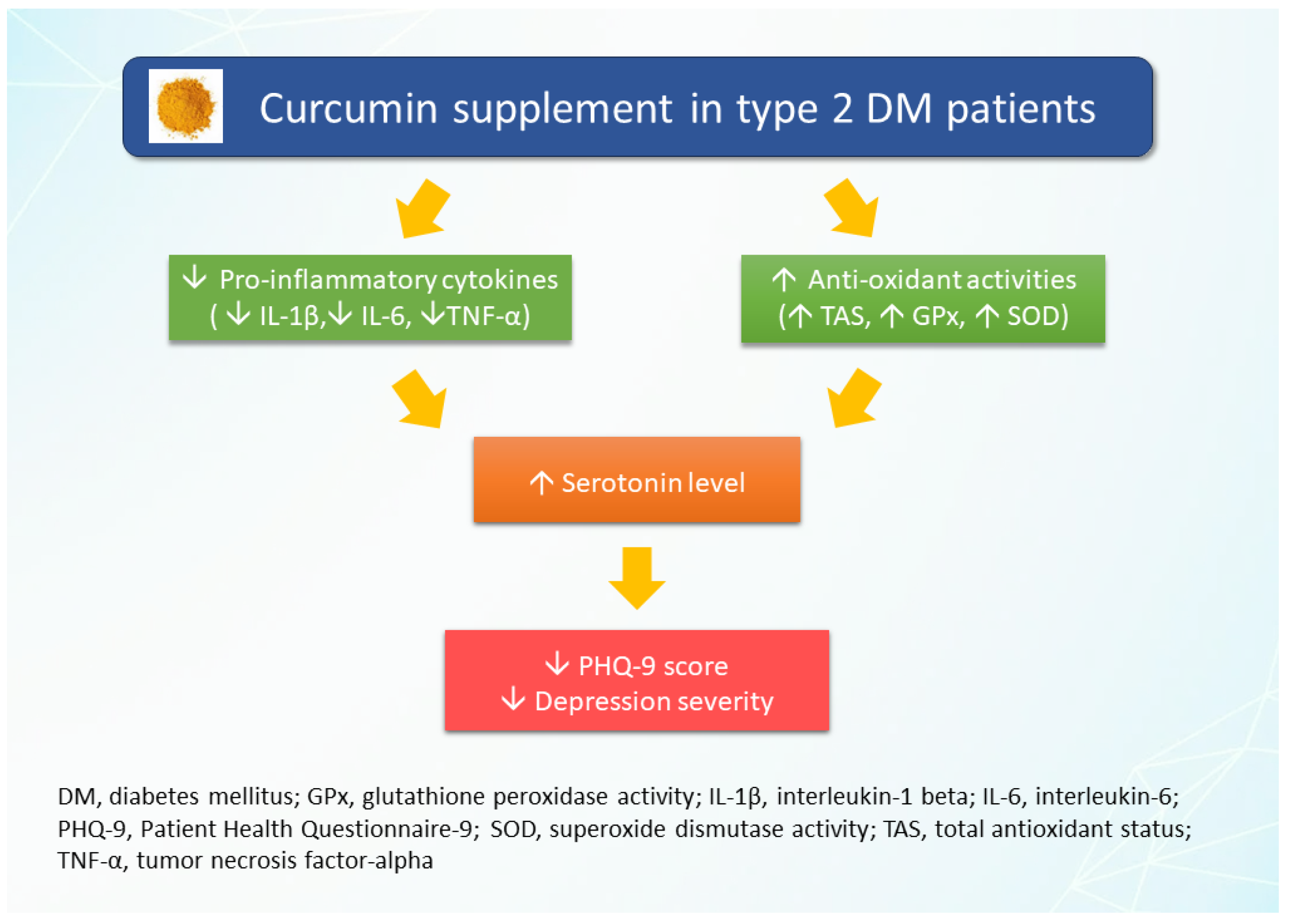 Nutrients 16 02414 g001