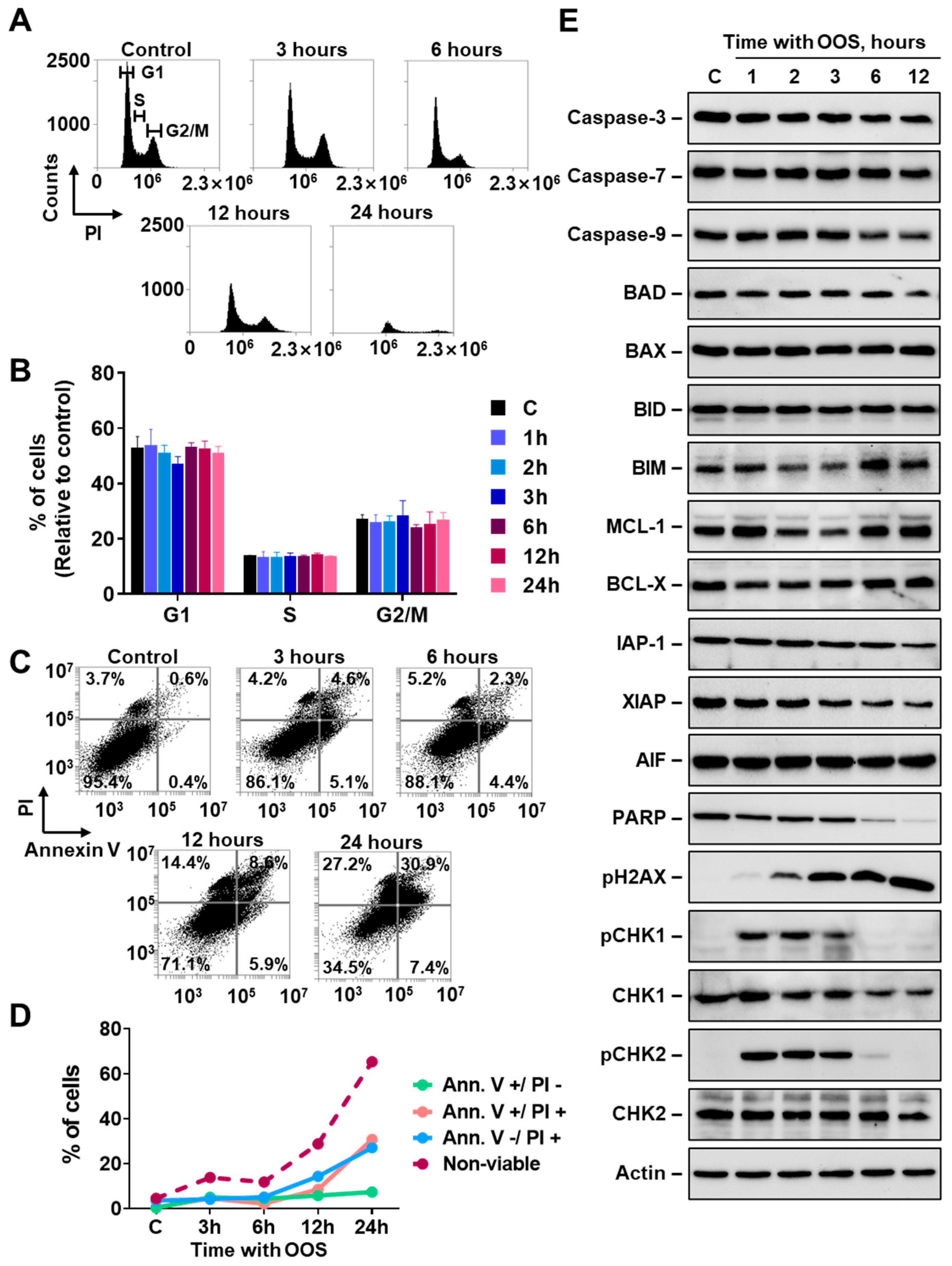 Nutrients 16 02416 g002