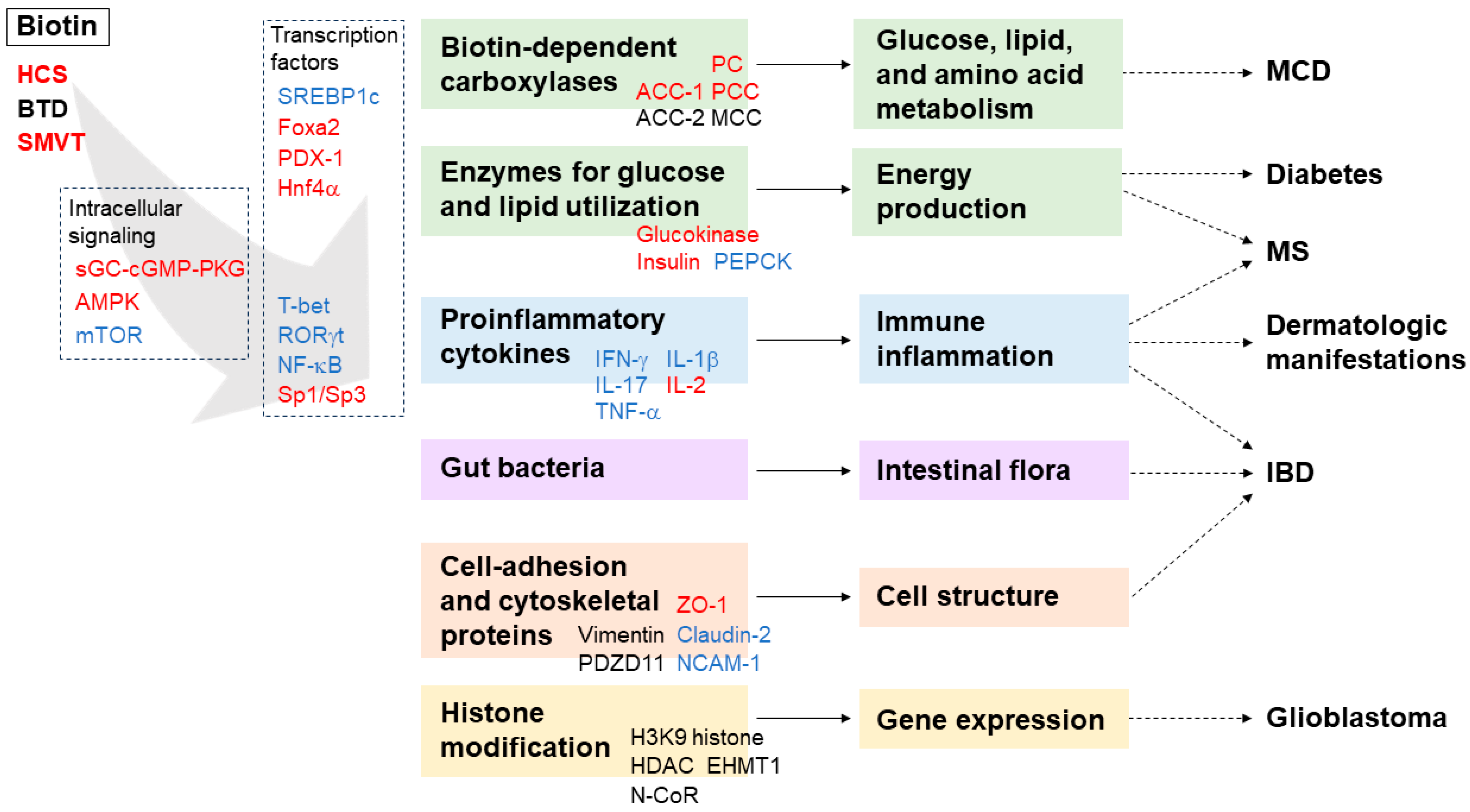 Nutrients 16 02444 g001 Nutrients 16 02444 g001