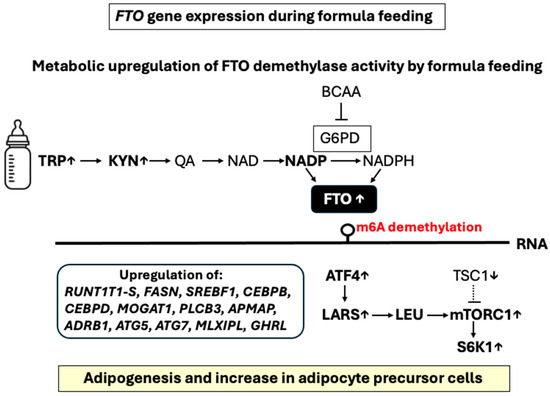 MAFLD vs. NAFLD: shared features and potential changes in