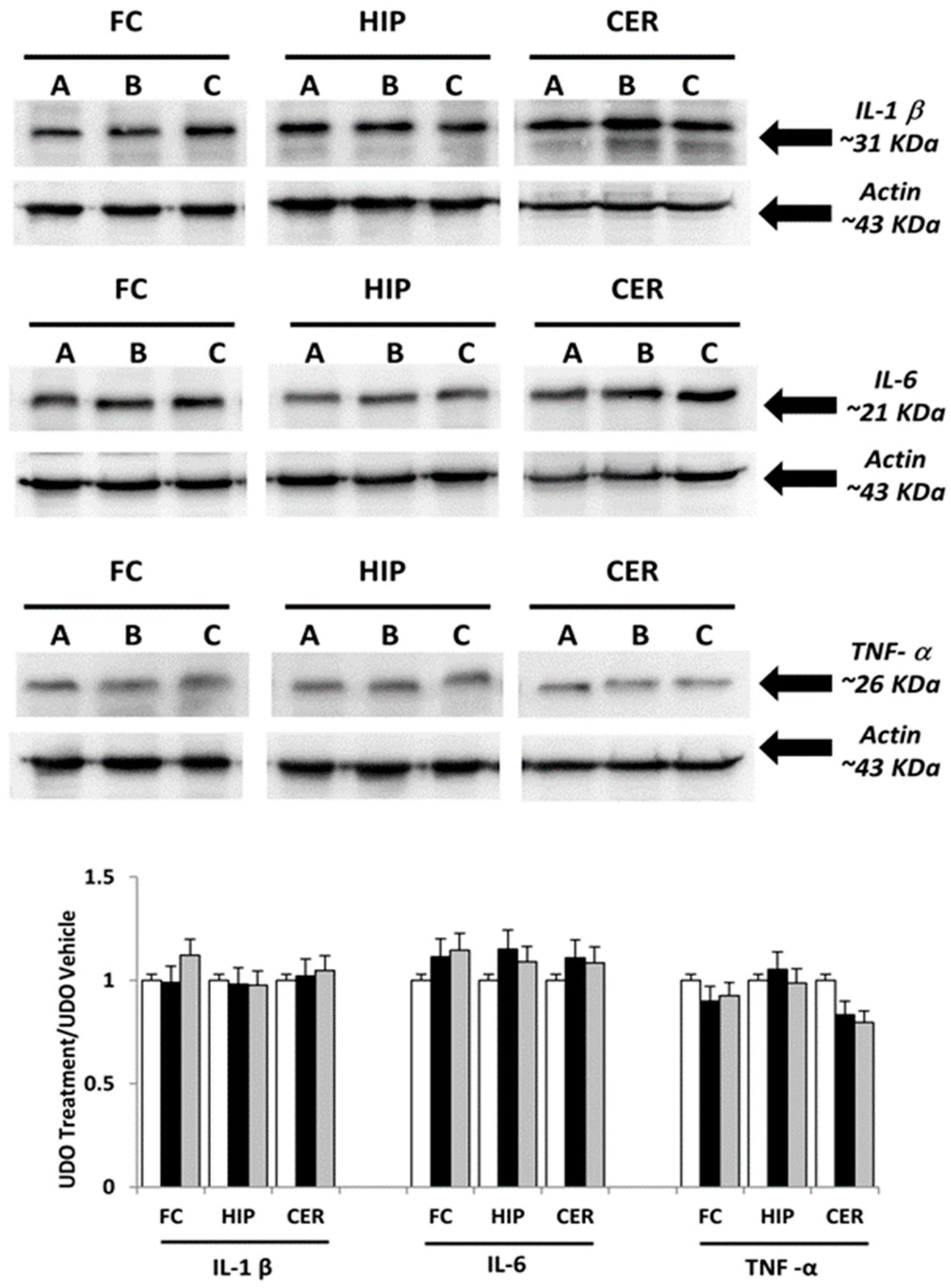 Nutrients 16 02462 g001