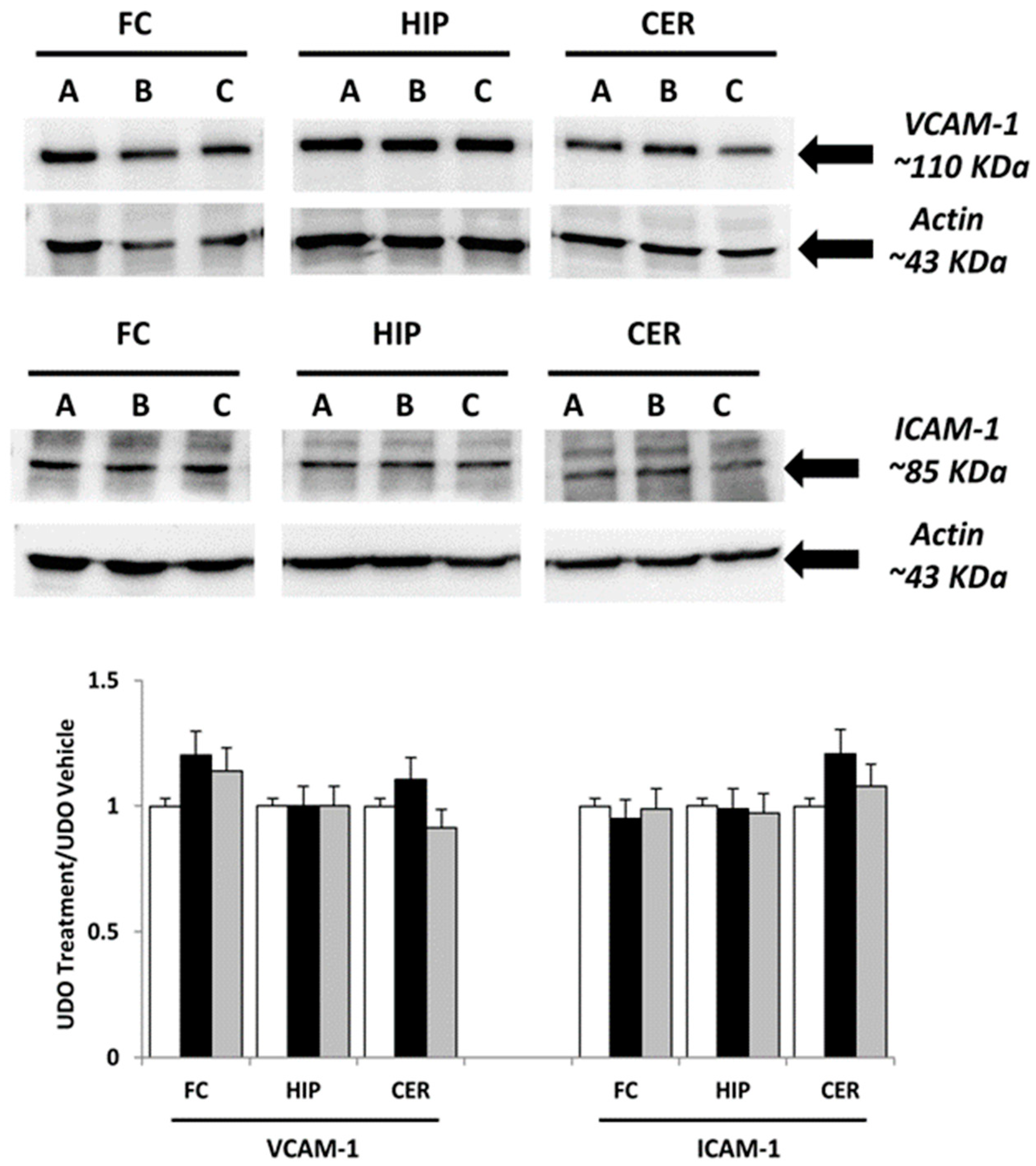 Nutrients 16 02462 g002