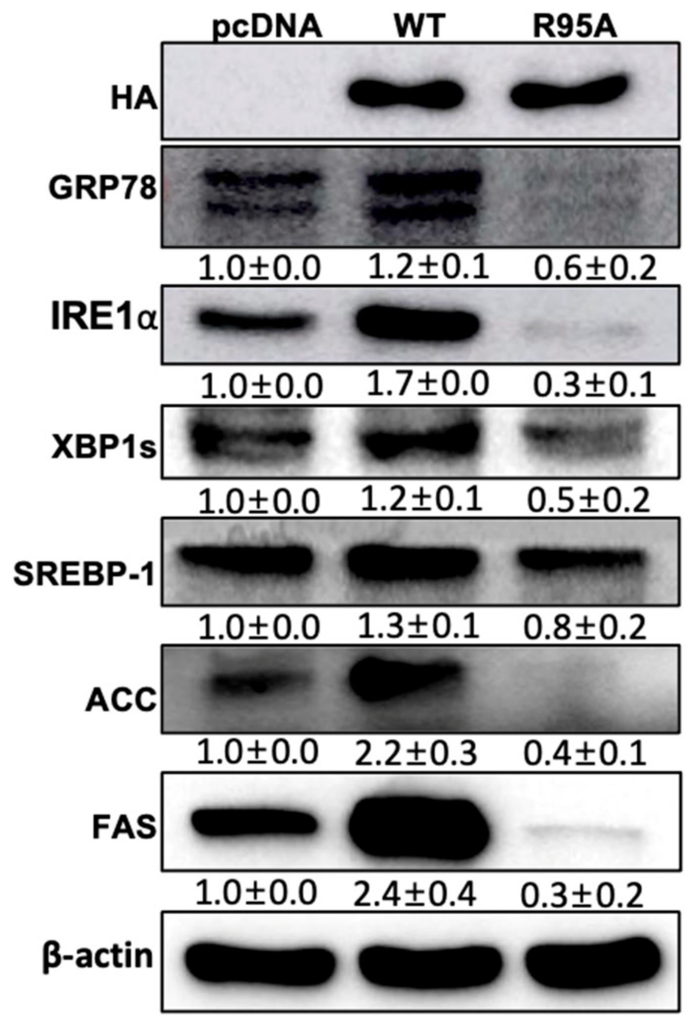 Nutrients 16 02465 g004