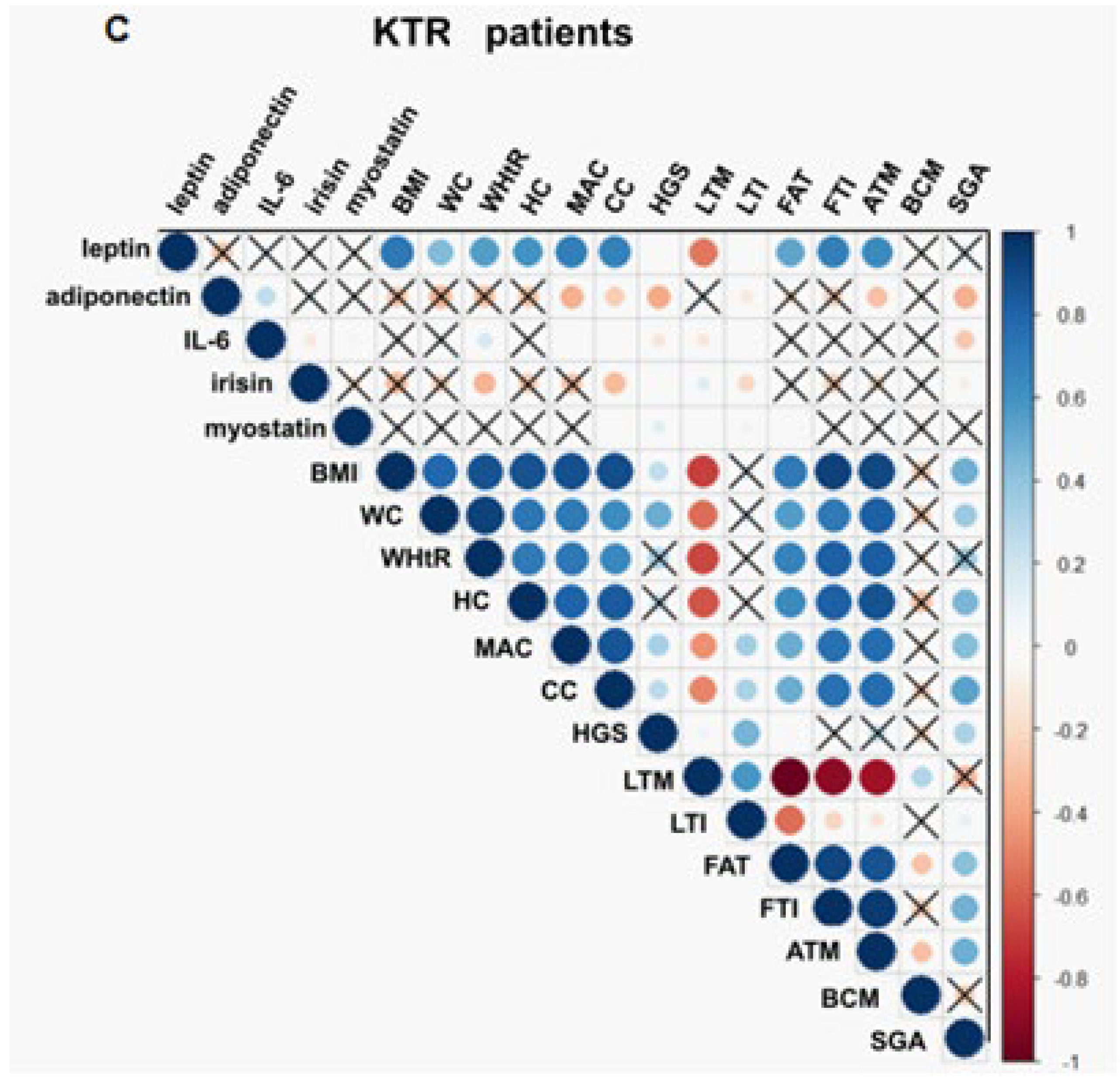 Nutrients 16 02480 g003b Nutrients 16 02480 g003b