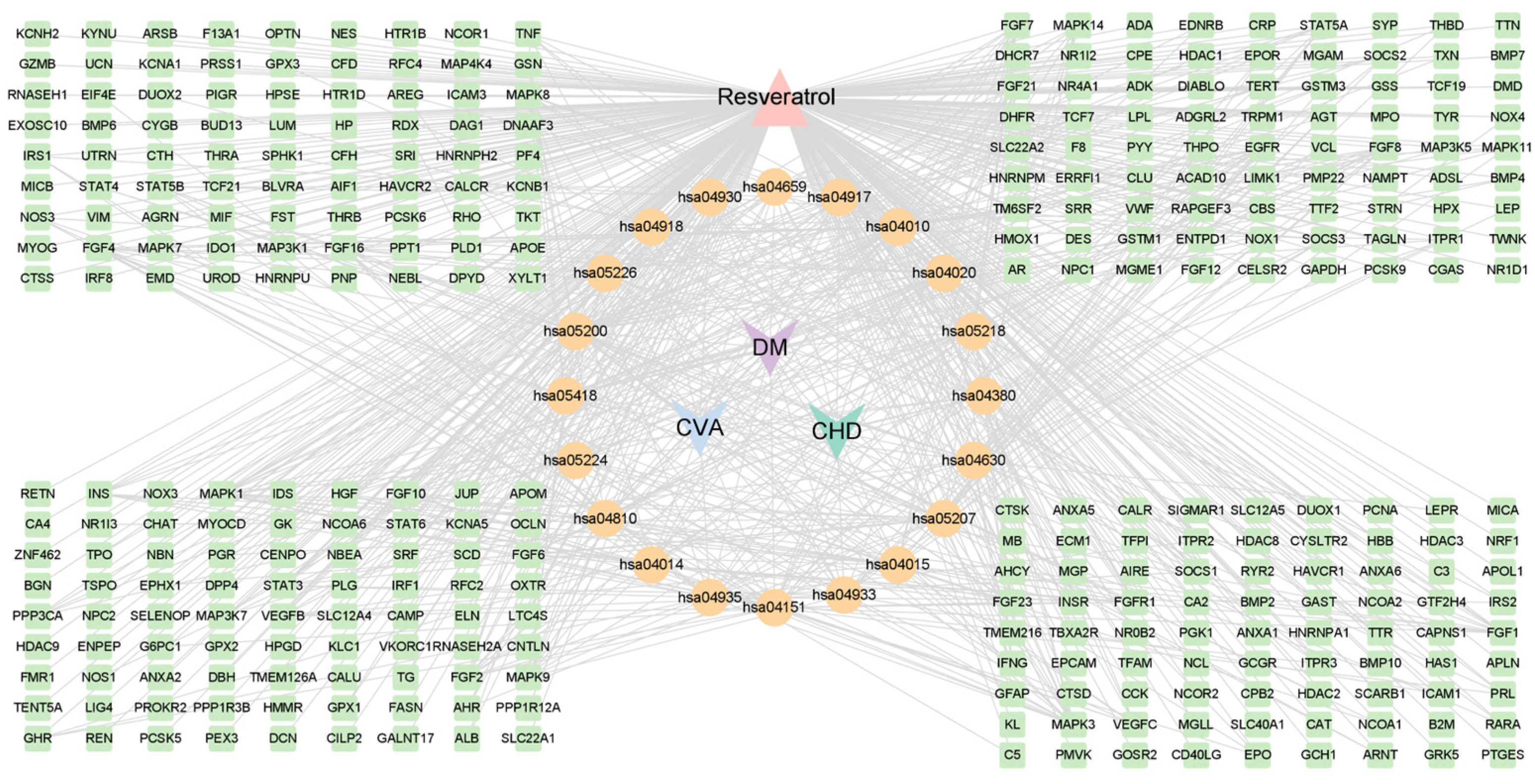 Nutrients 16 02488 g005