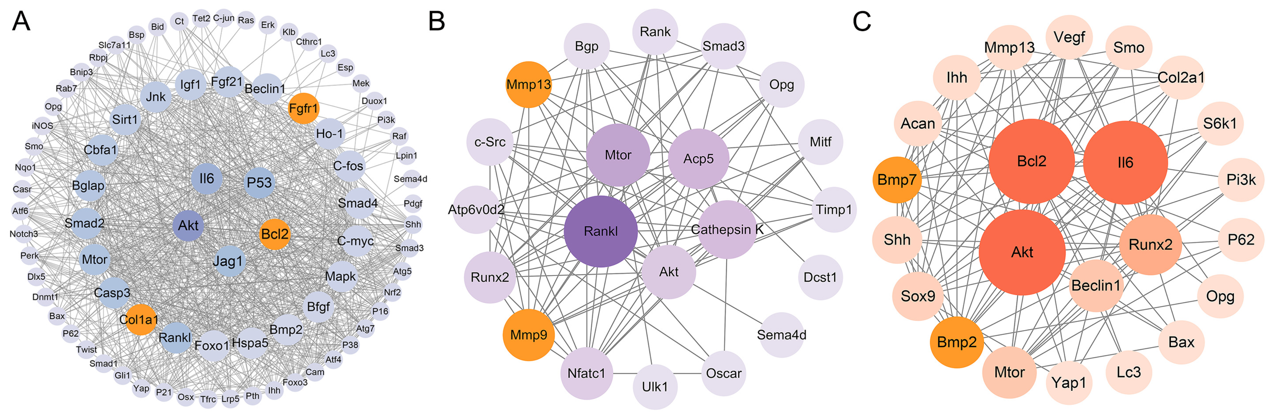Nutrients 16 02500 g004