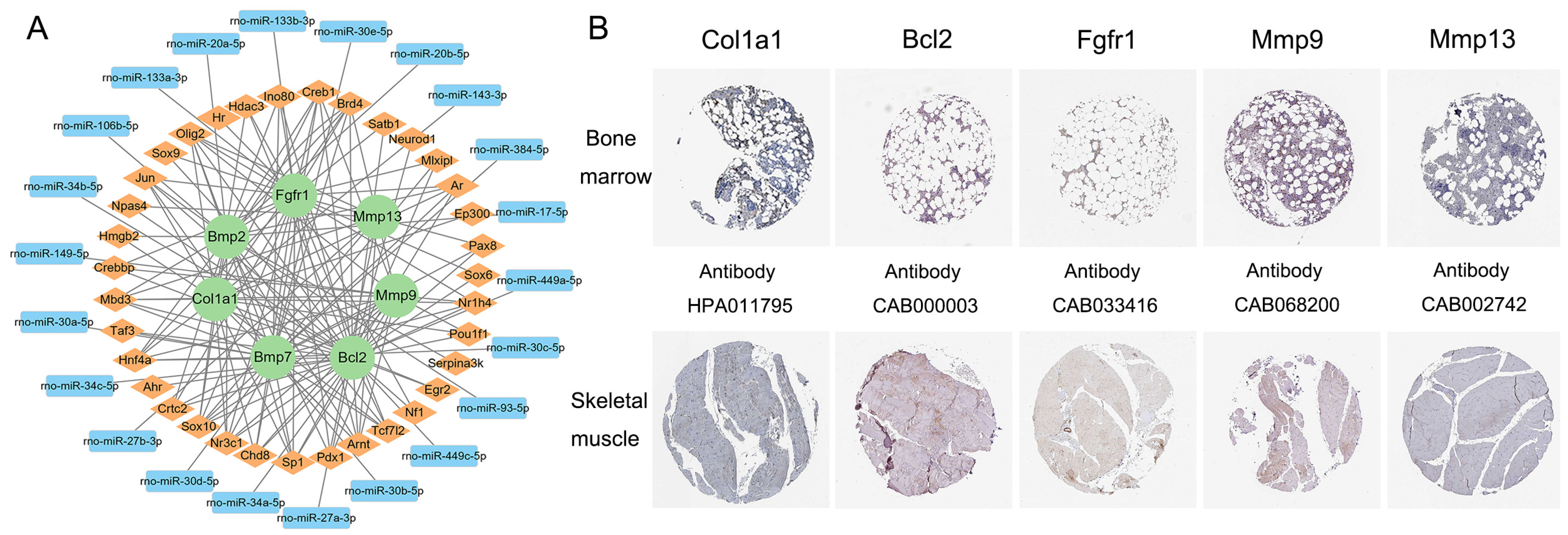Nutrients 16 02500 g005