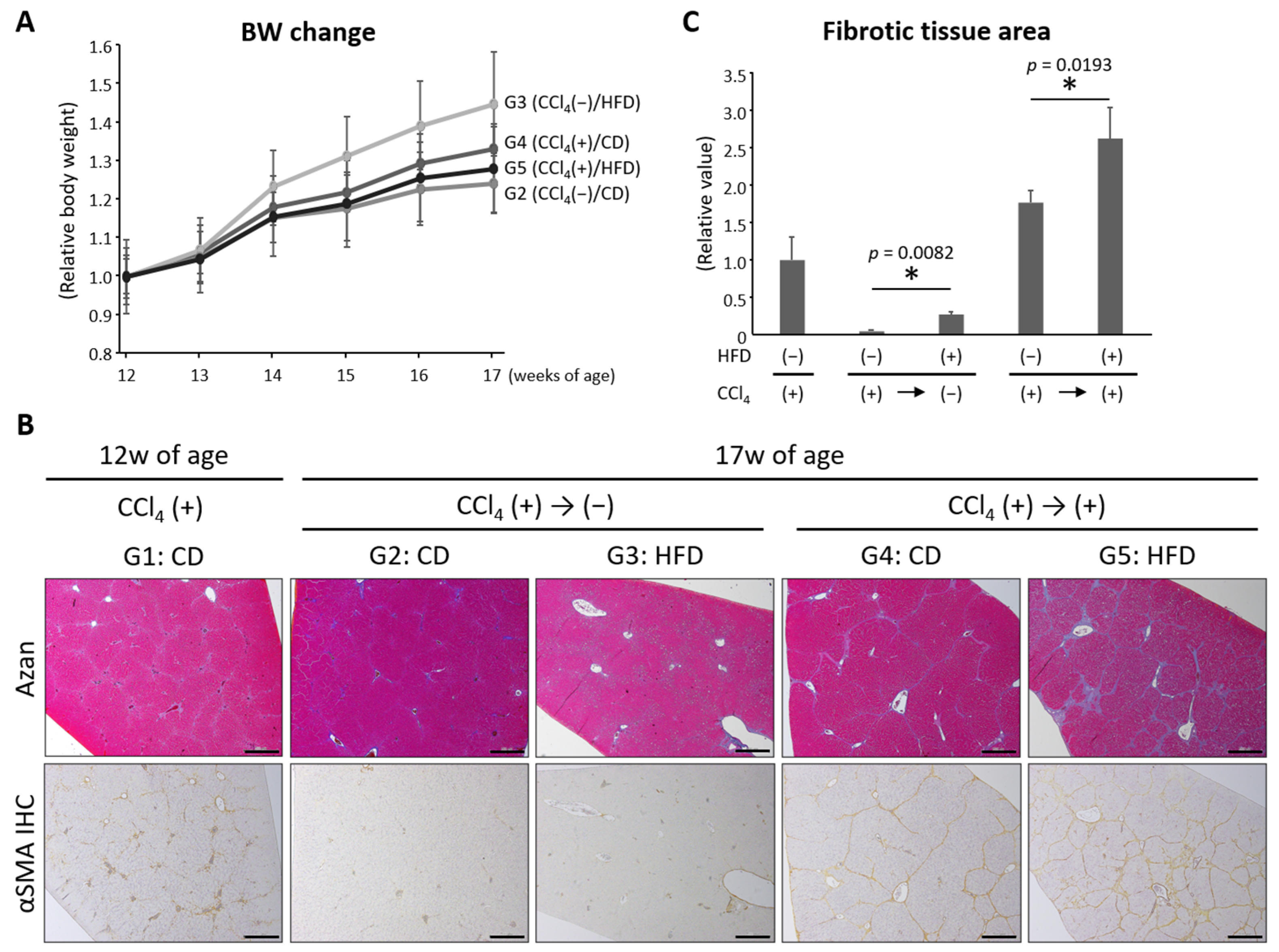 Nutrients 16 02506 g002