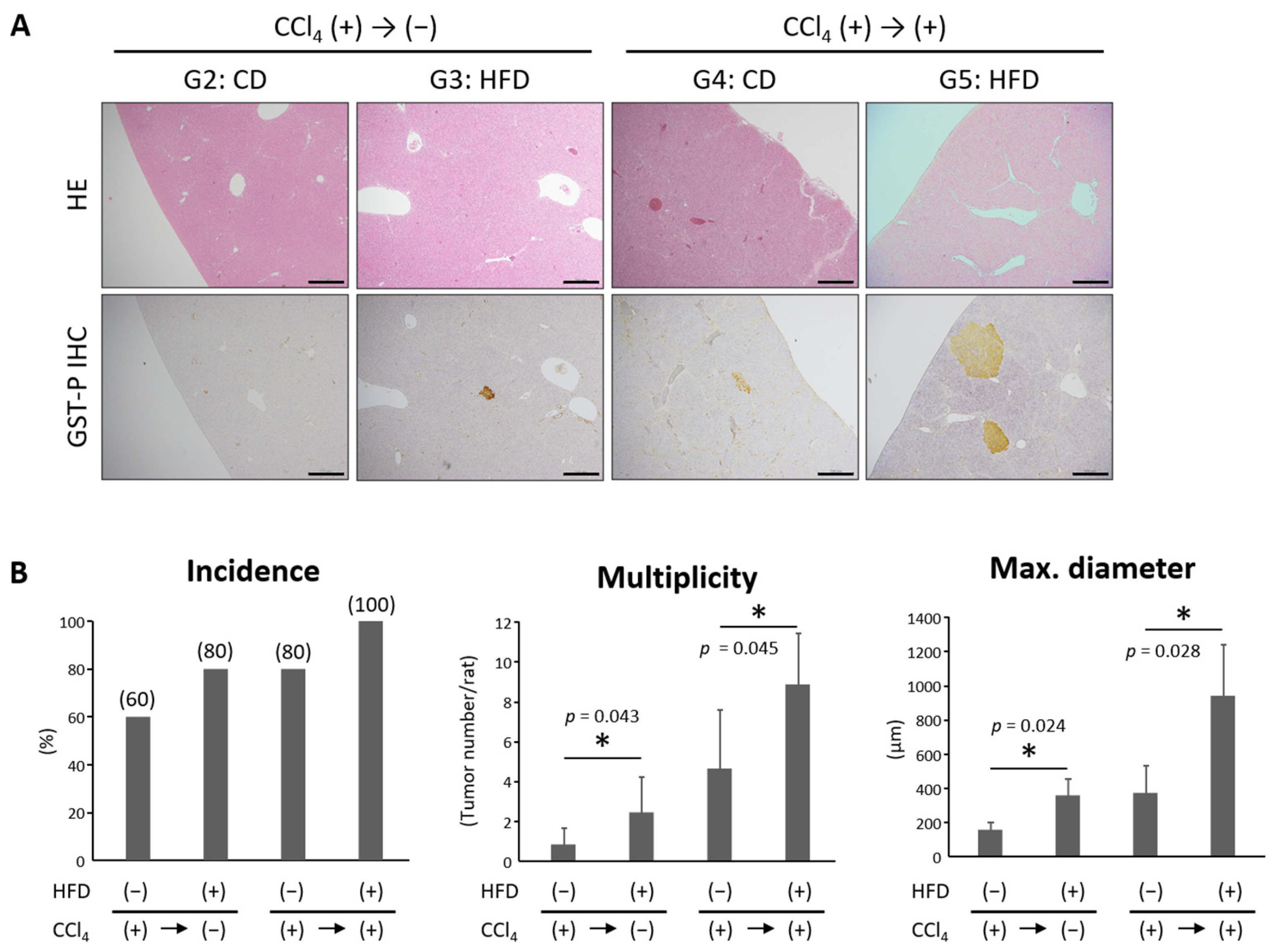 Nutrients 16 02506 g005