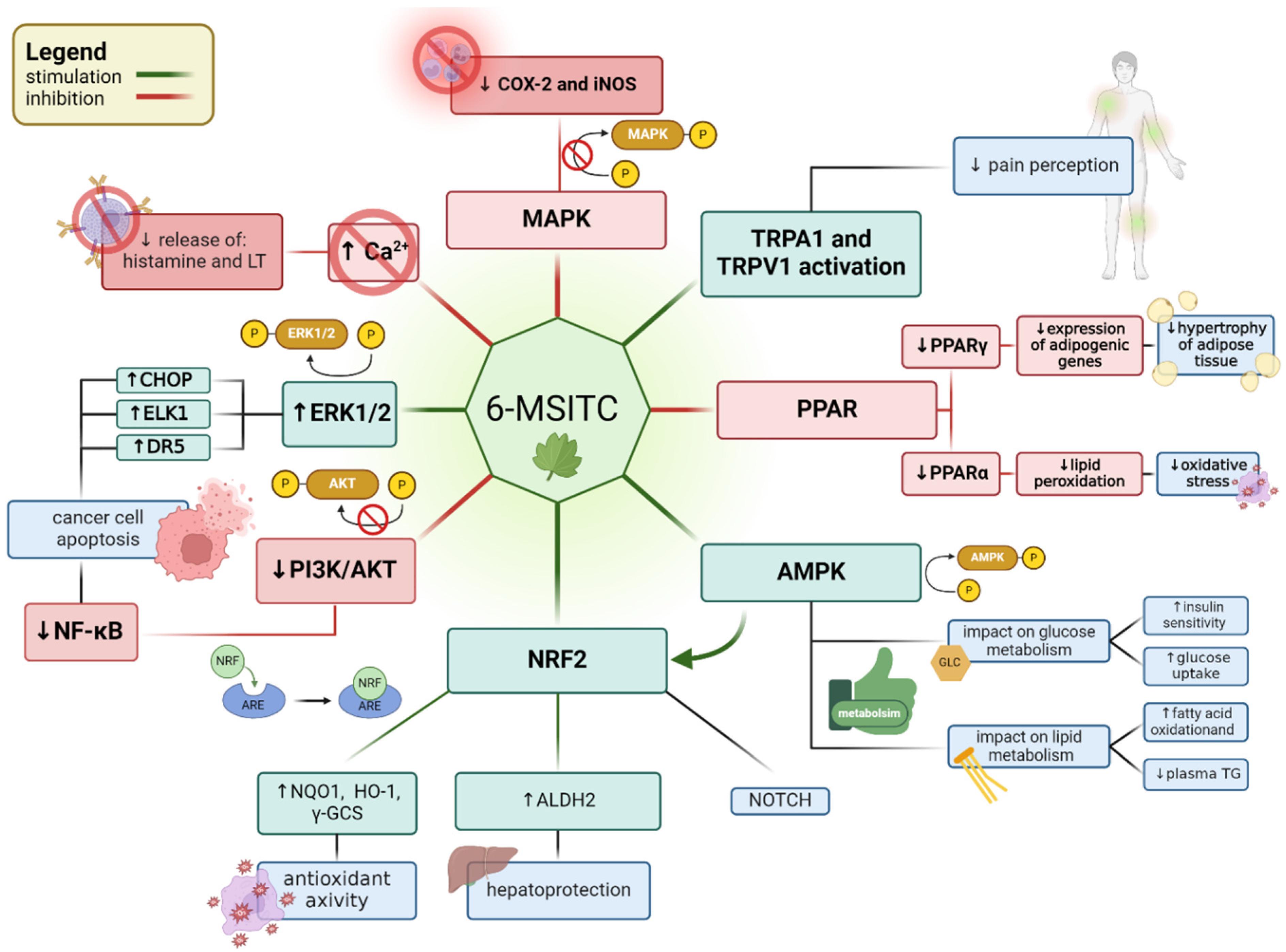 Nutrients 16 02509 g002 Nutrients 16 02509 g002