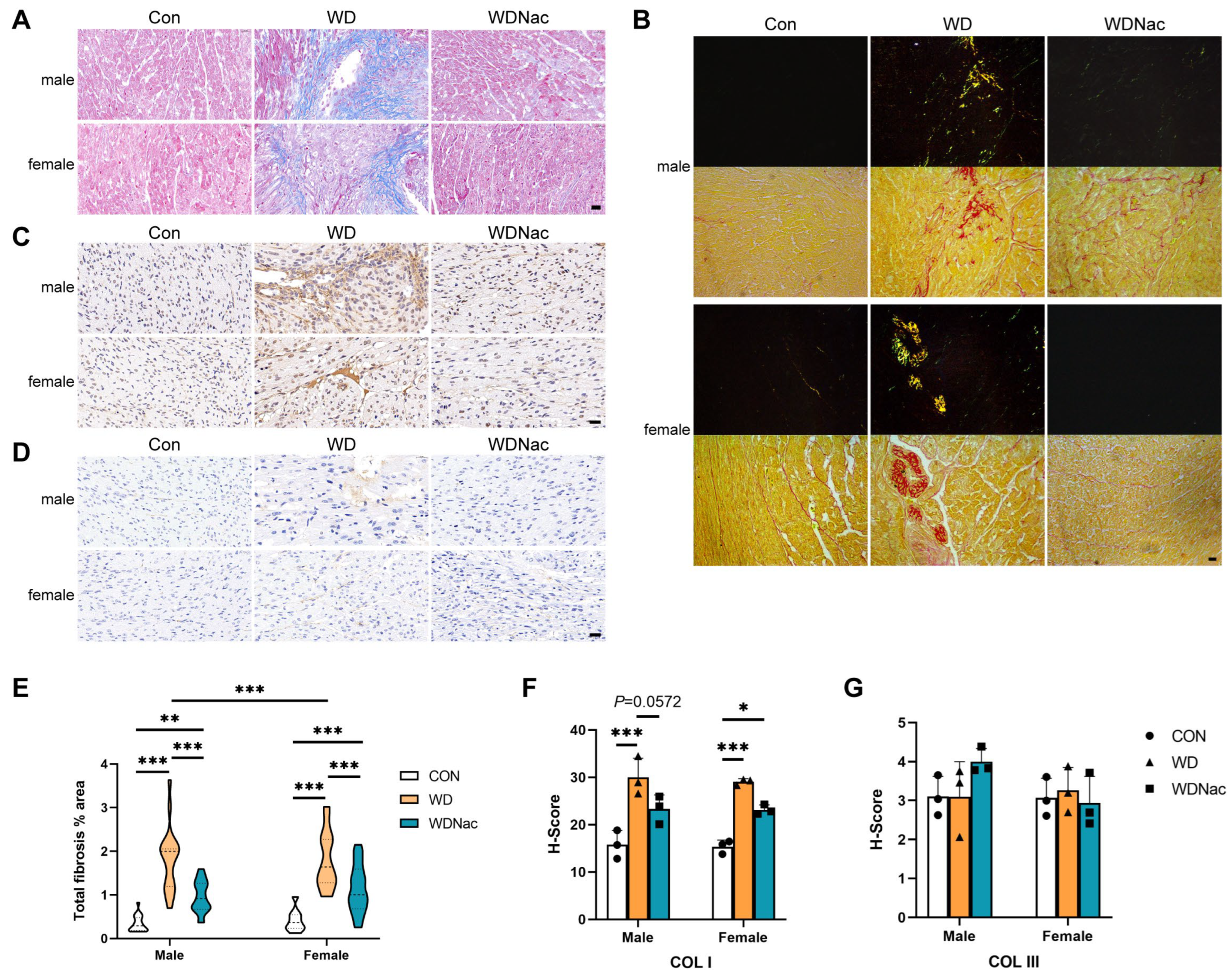Nutrients 16 02520 g003