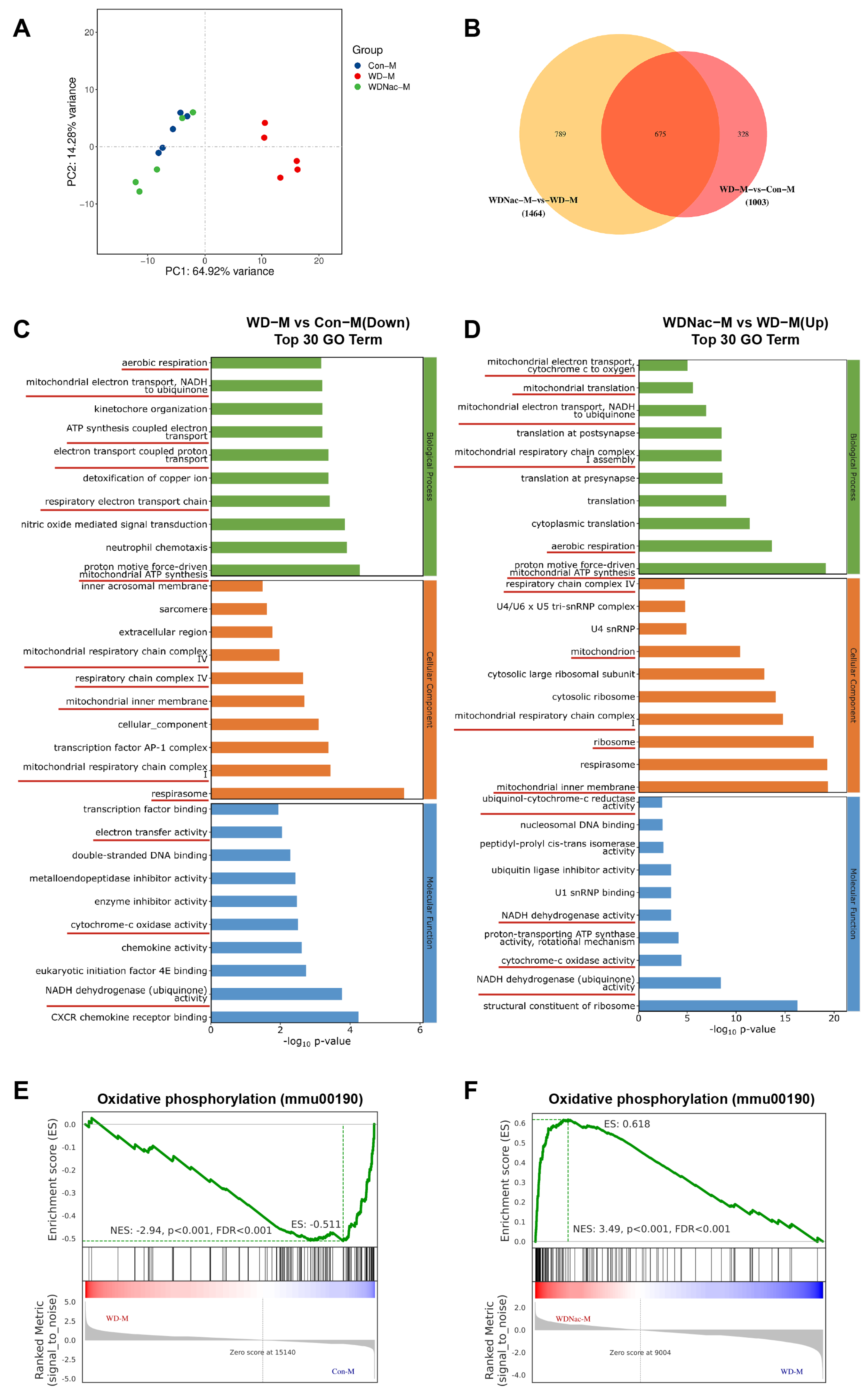 Nutrients 16 02520 g005