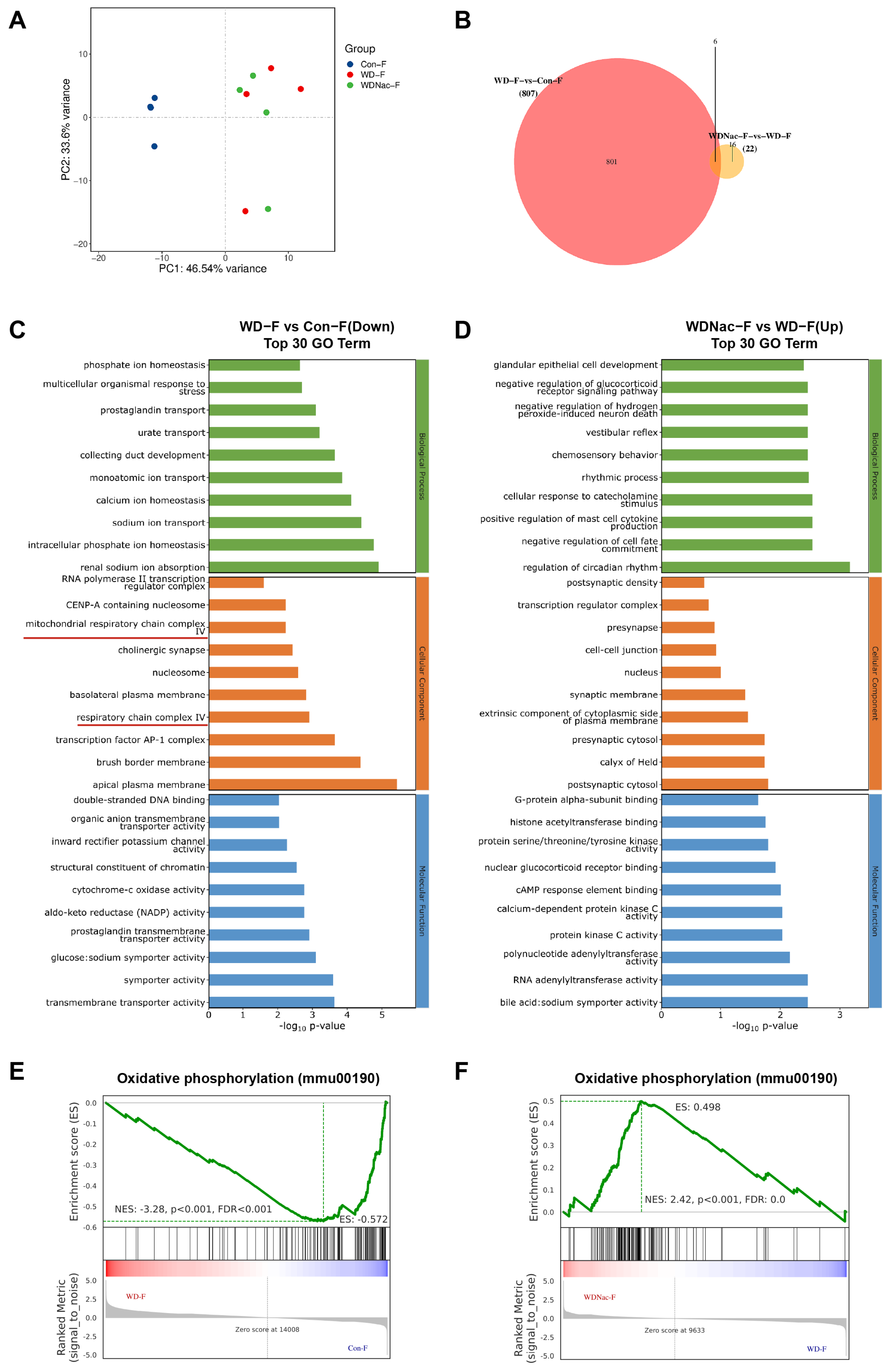 Nutrients 16 02520 g006