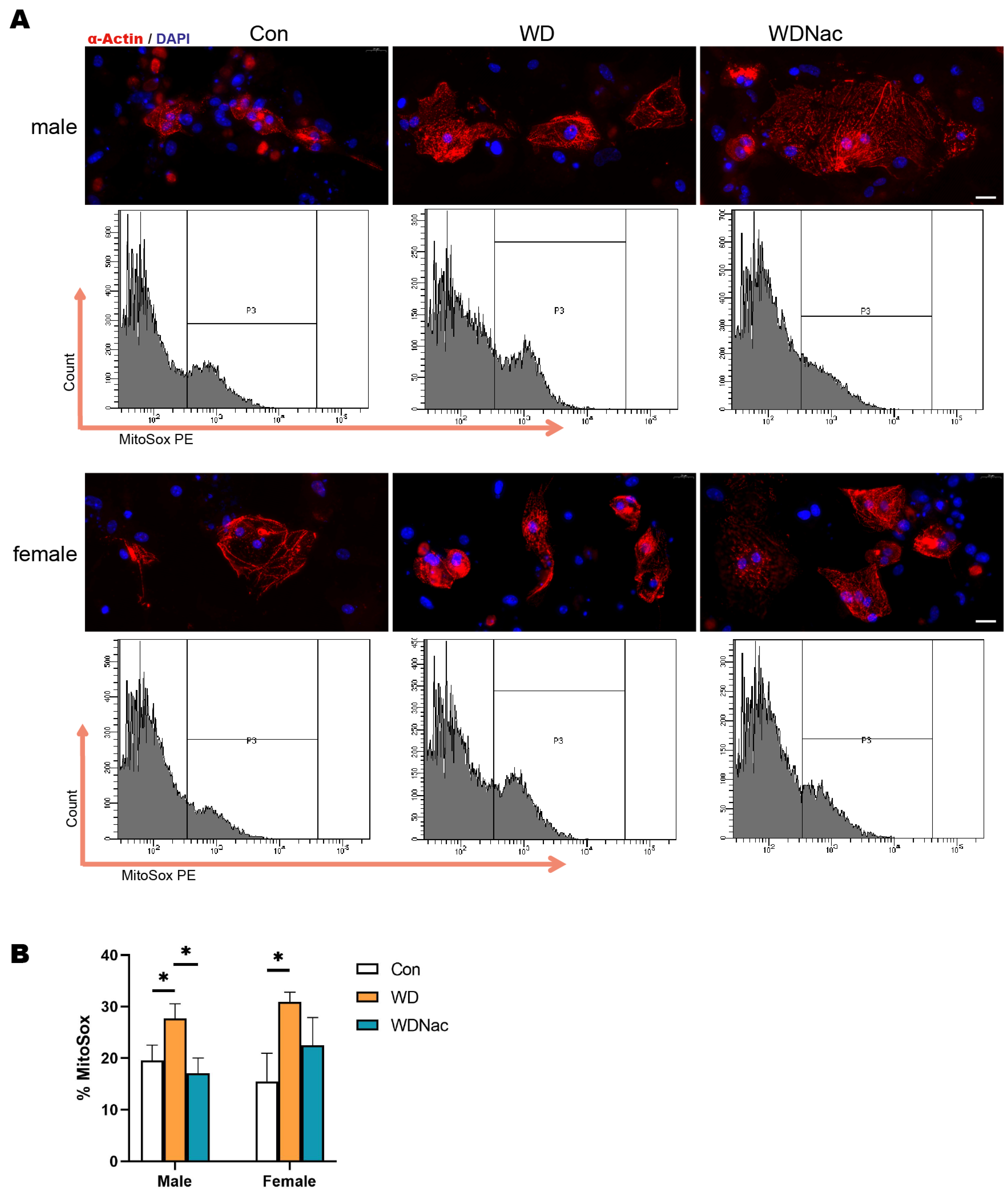 Nutrients 16 02520 g008