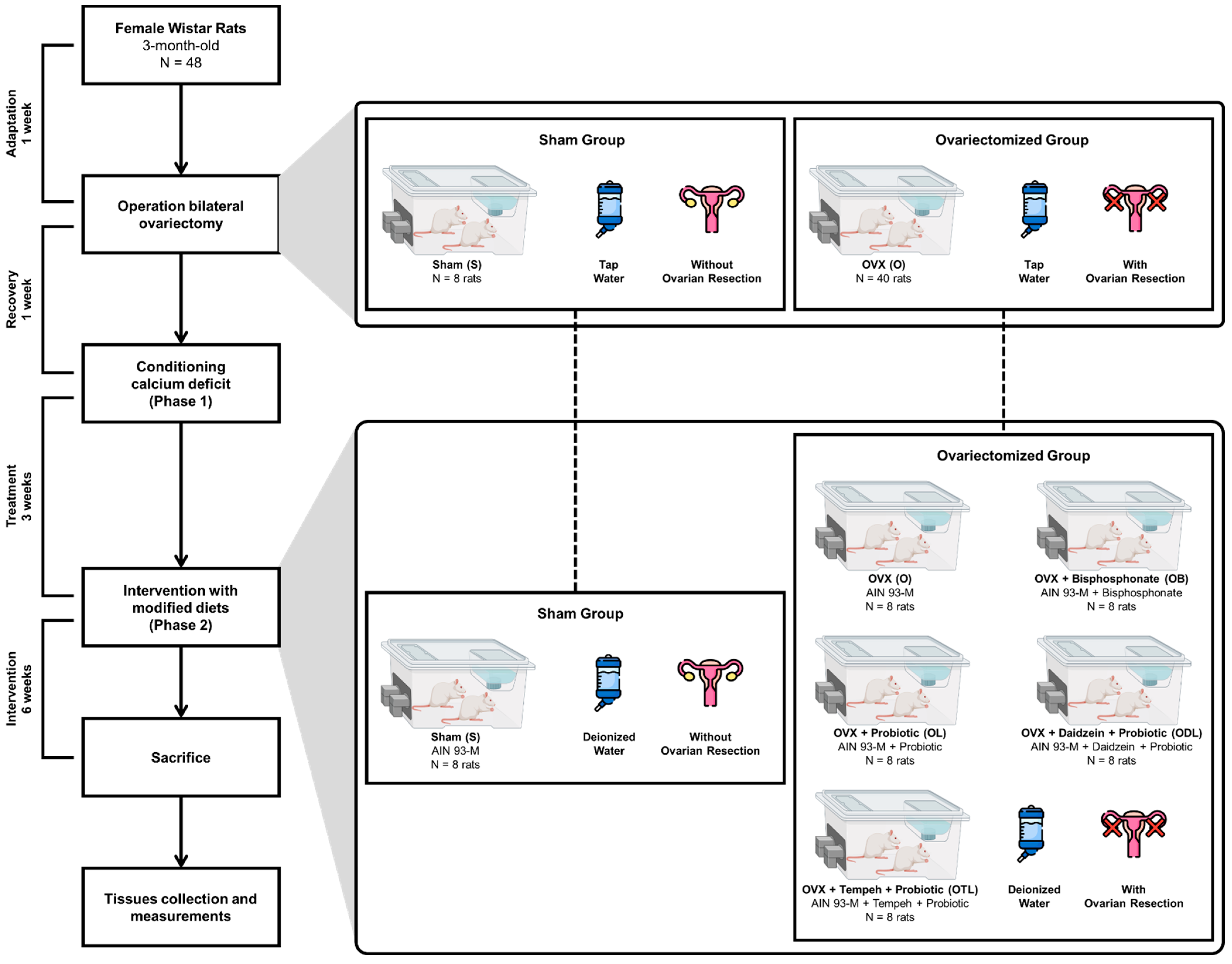 Nutrients 16 02524 g001
