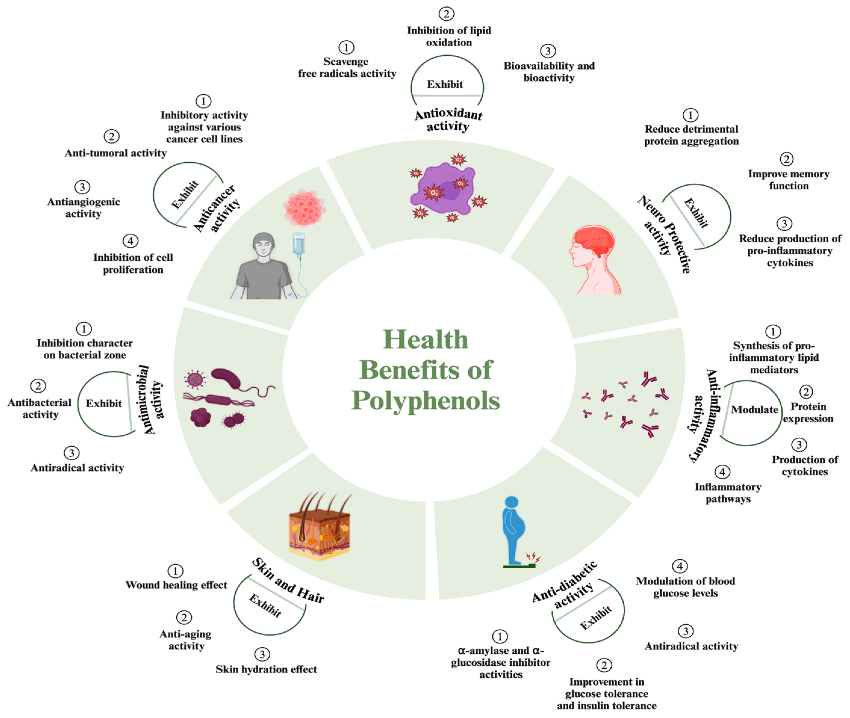 Nutrients 16 02550 g002 Nutrients 16 02550 g002