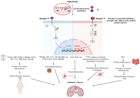 Win–win strategy: zinc-ion anchoring crosslinked hydrogels