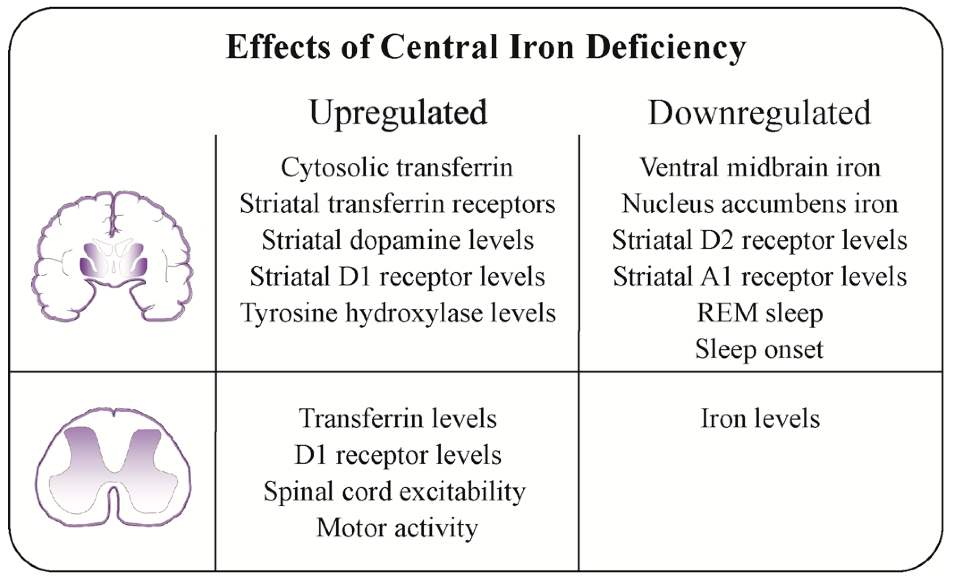Nutrients 16 02559 g001