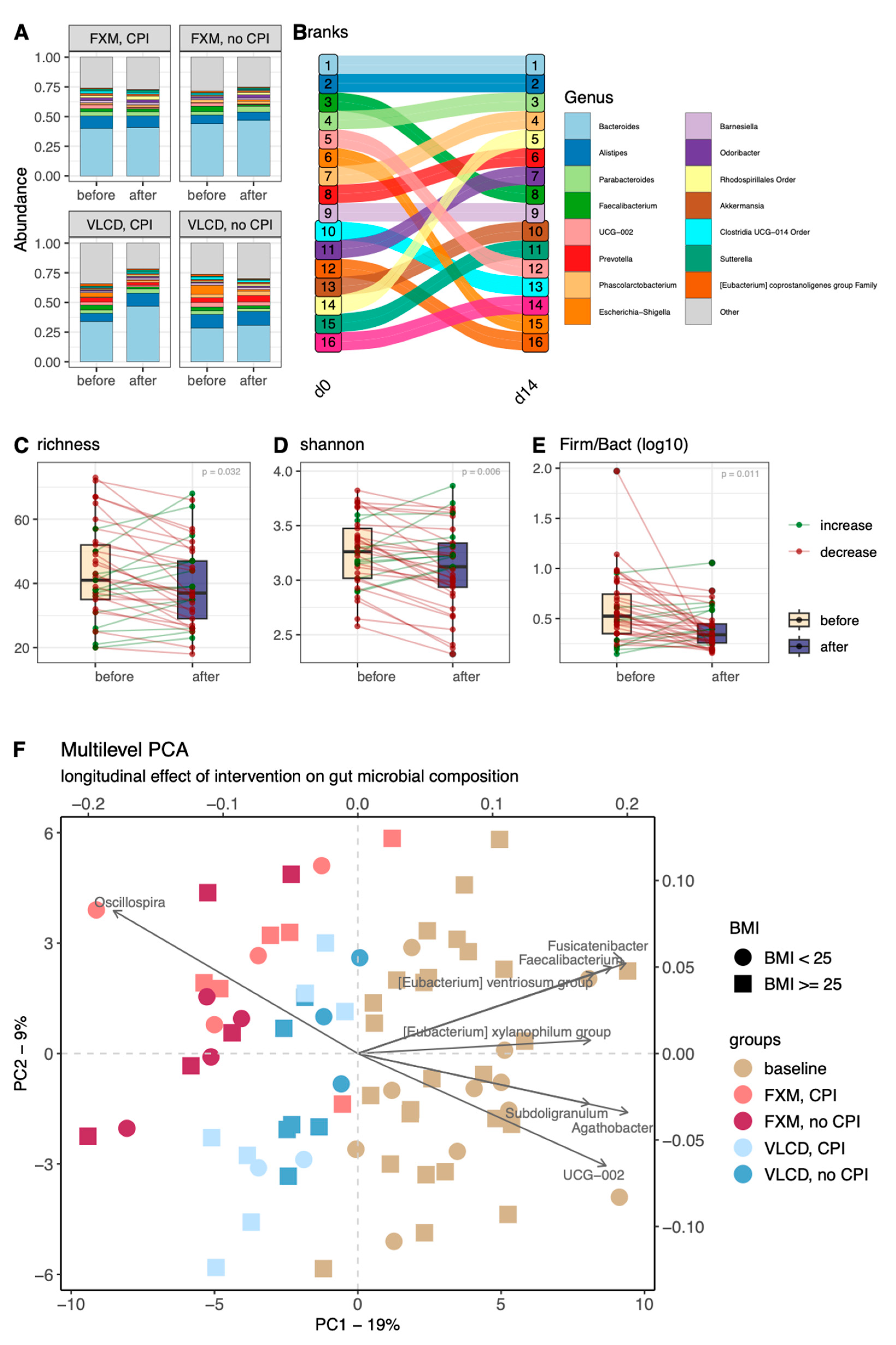 Nutrients 16 02584 g001