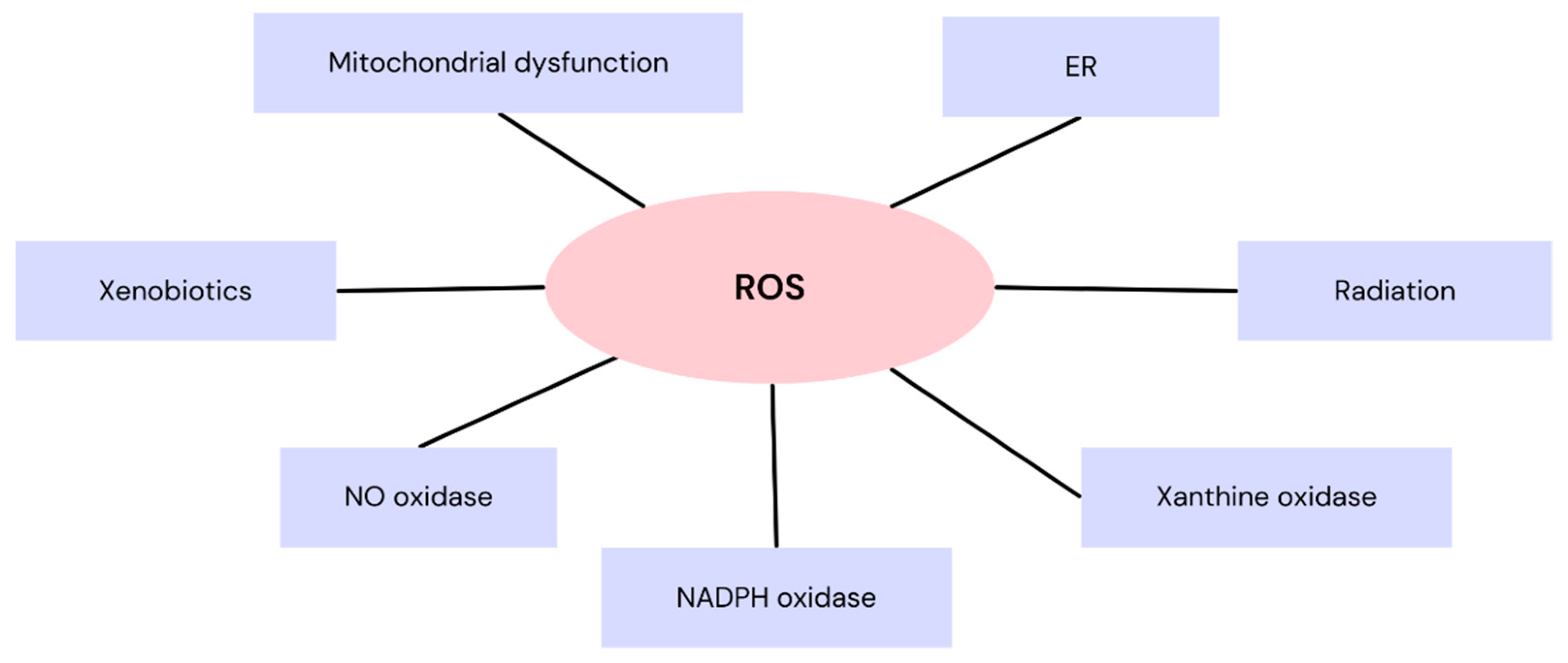 Nutrients 16 02587 g001