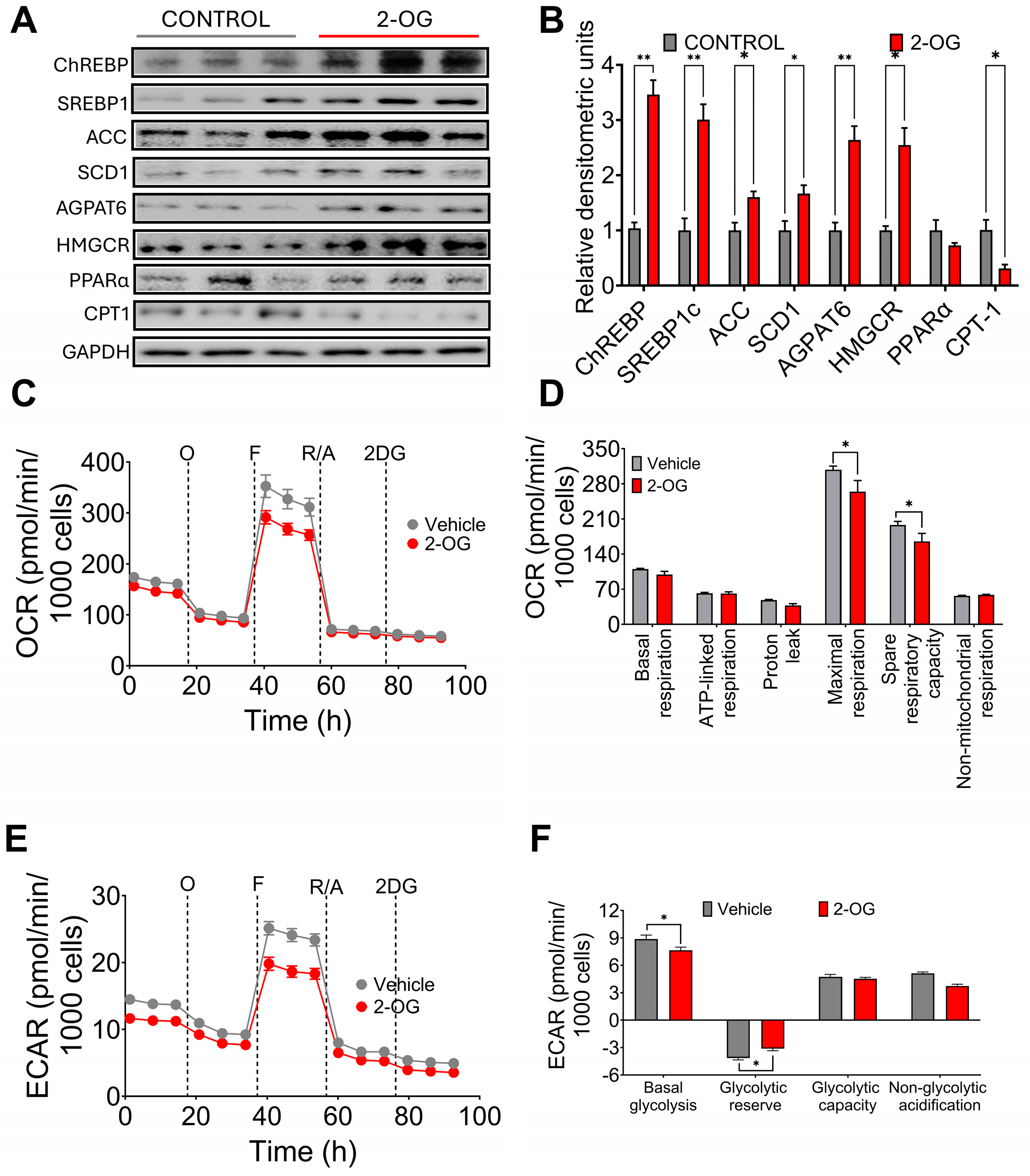 Nutrients 16 02594 g003
