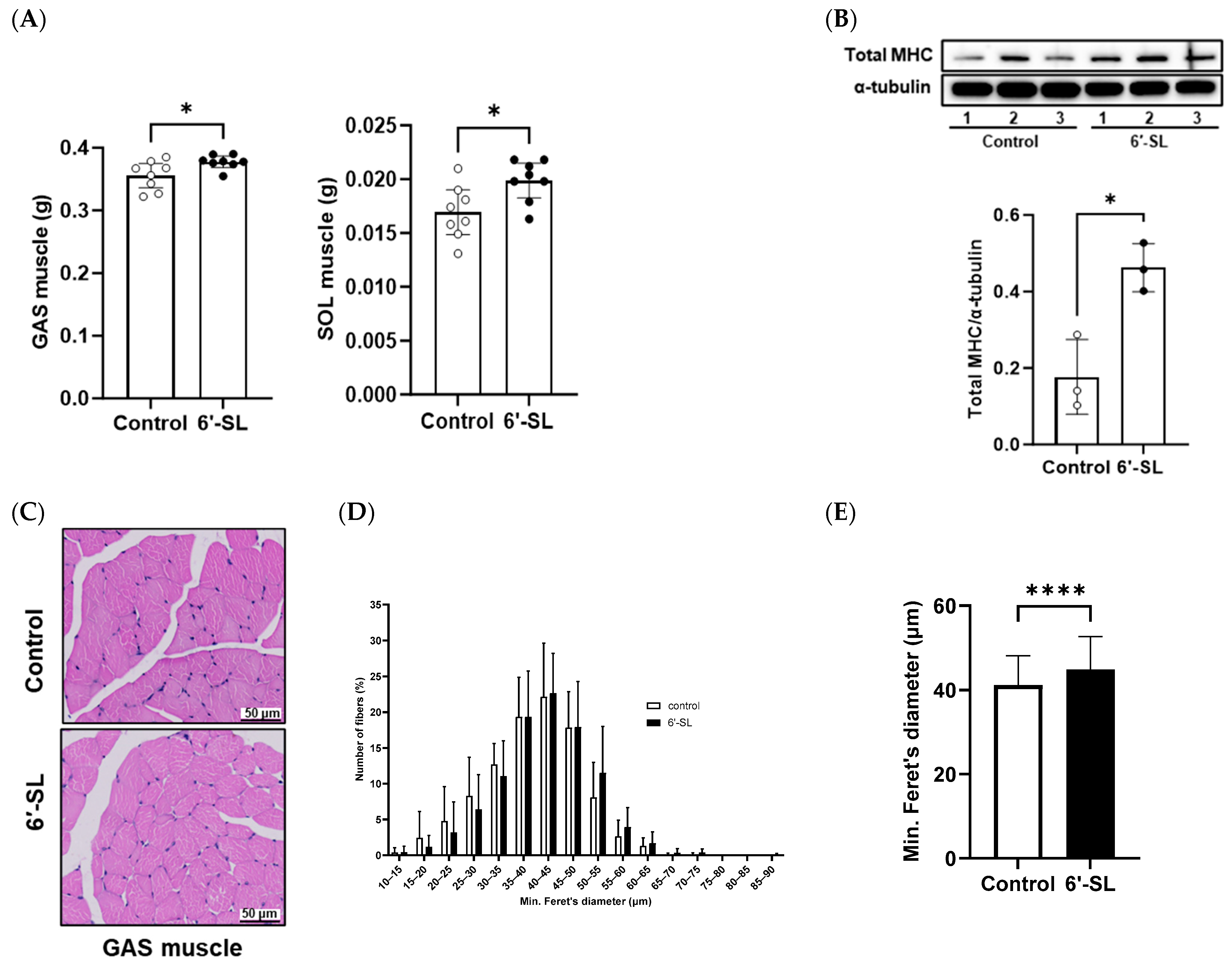 Nutrients 16 02600 g002