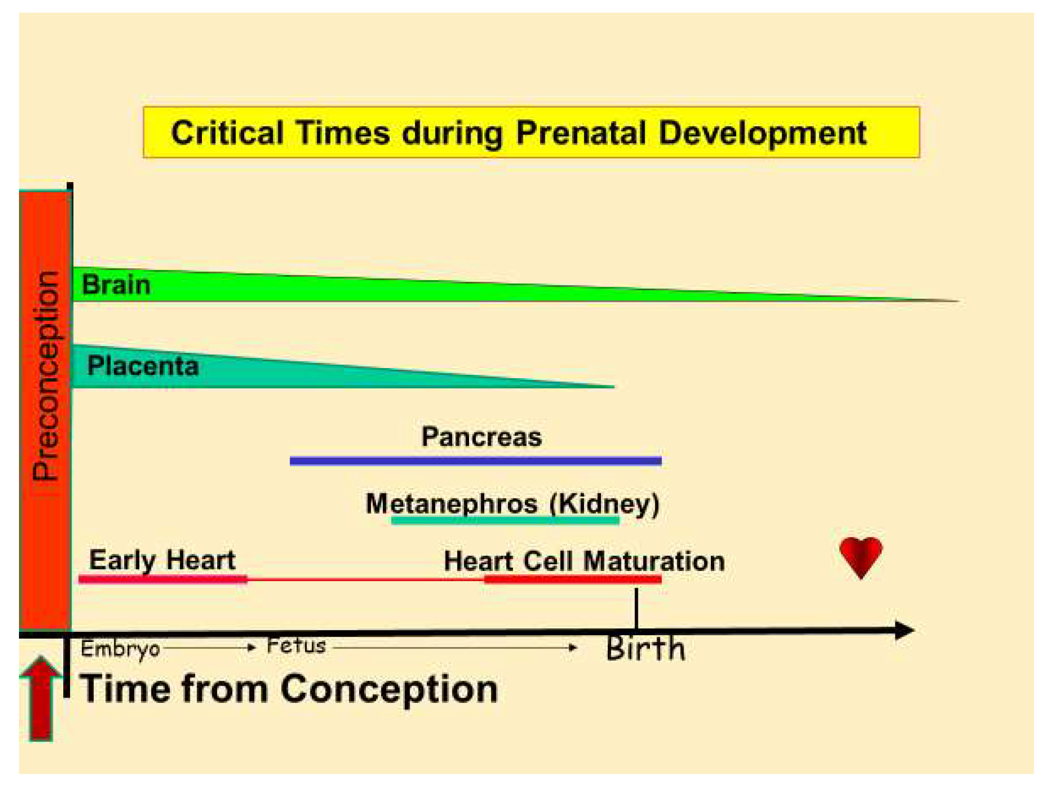 Nutrients 16 02614 g003 Nutrients 16 02614 g003