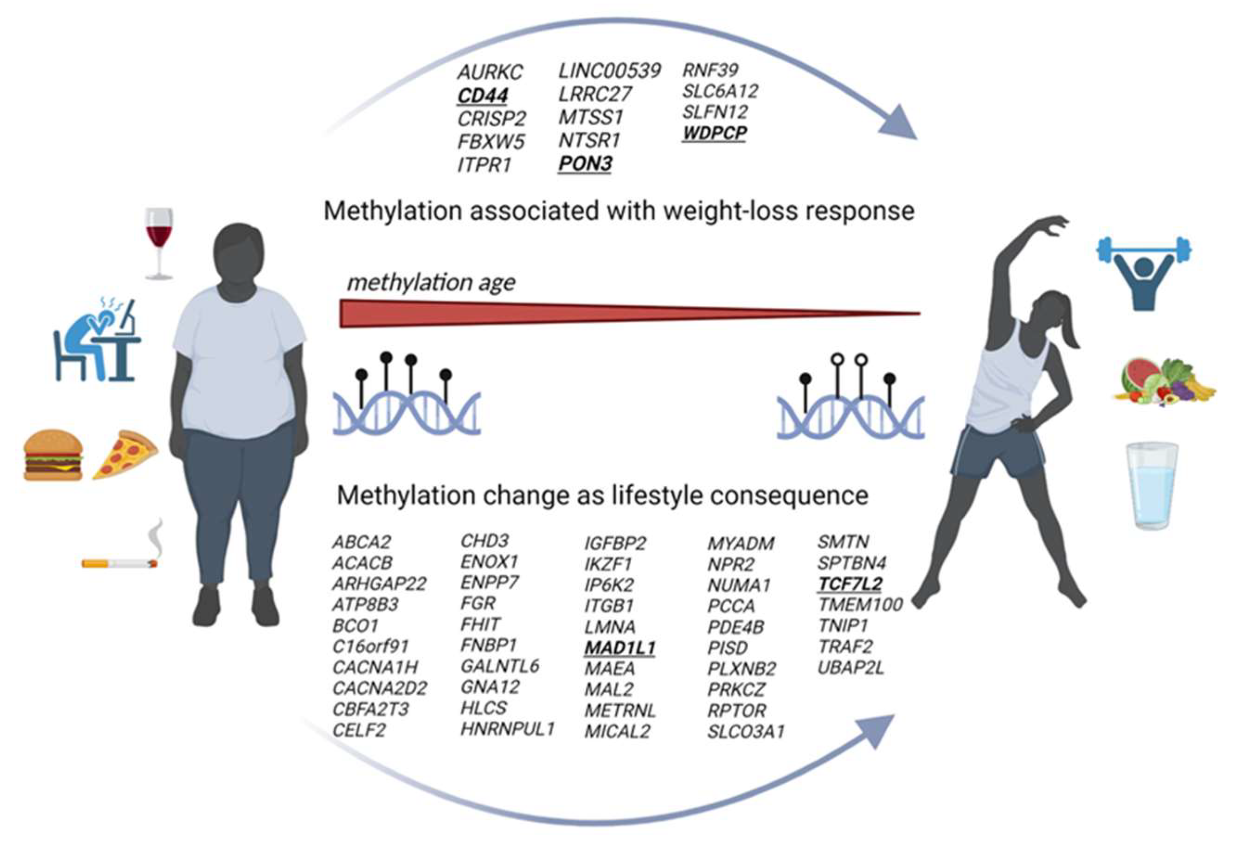 Nutrients 16 02614 g005 Nutrients 16 02614 g005