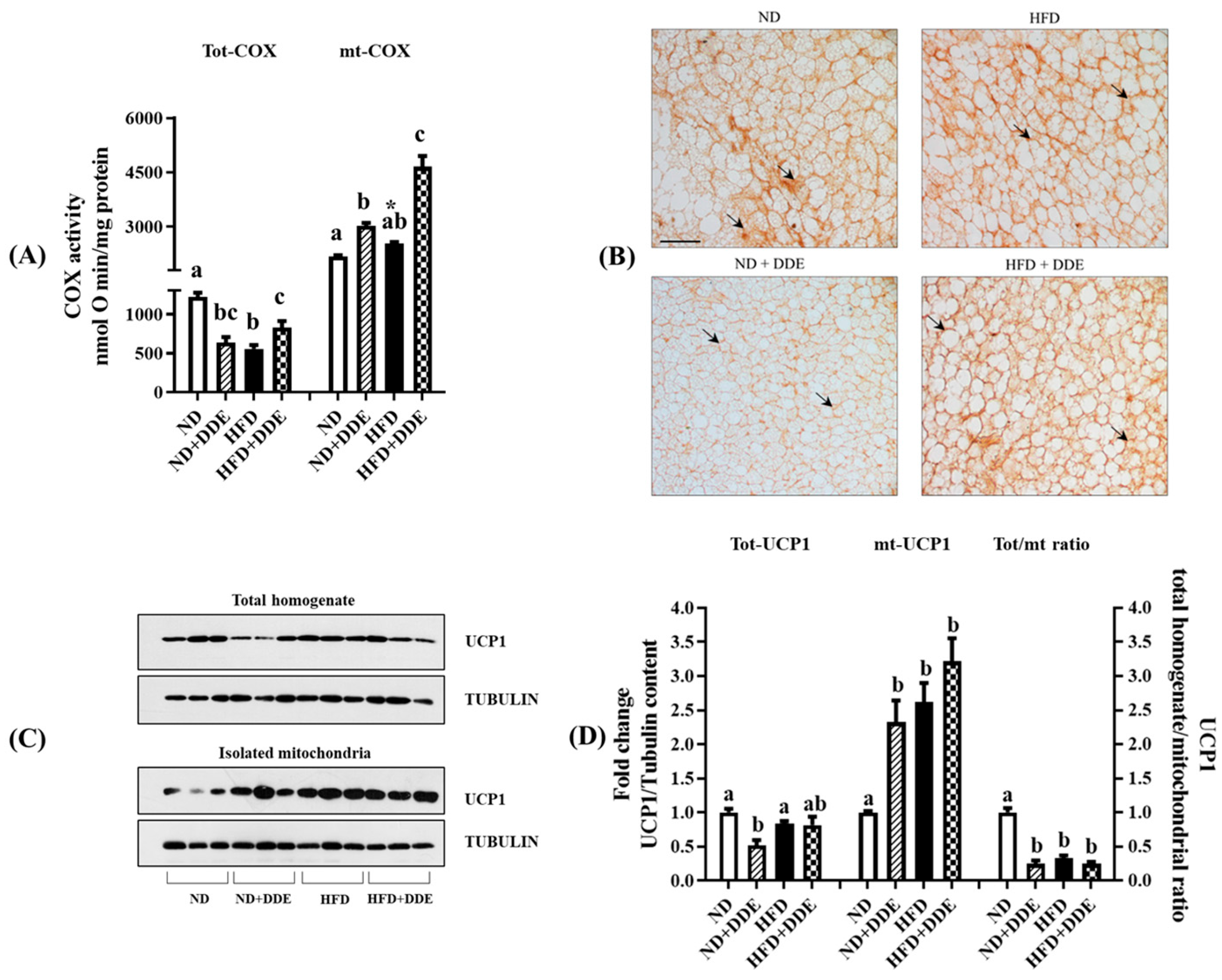 Nutrients 16 02616 g002