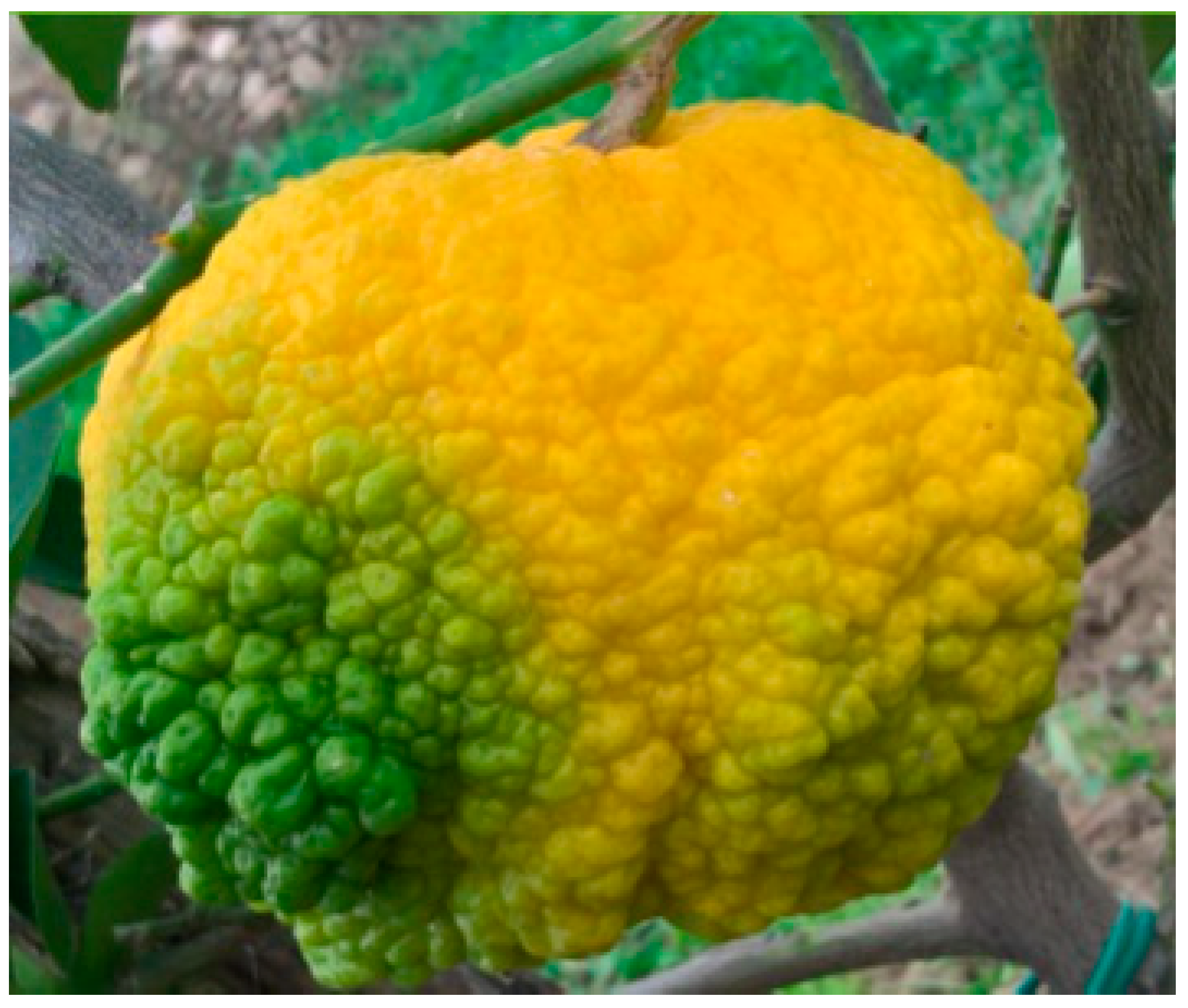 Nutrients 16 02619 g002