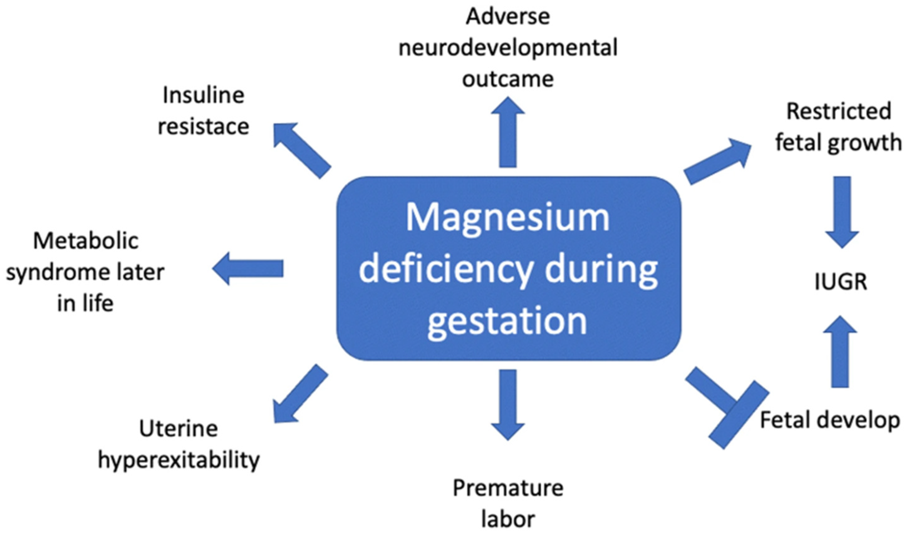 Nutrients 16 02630 g001