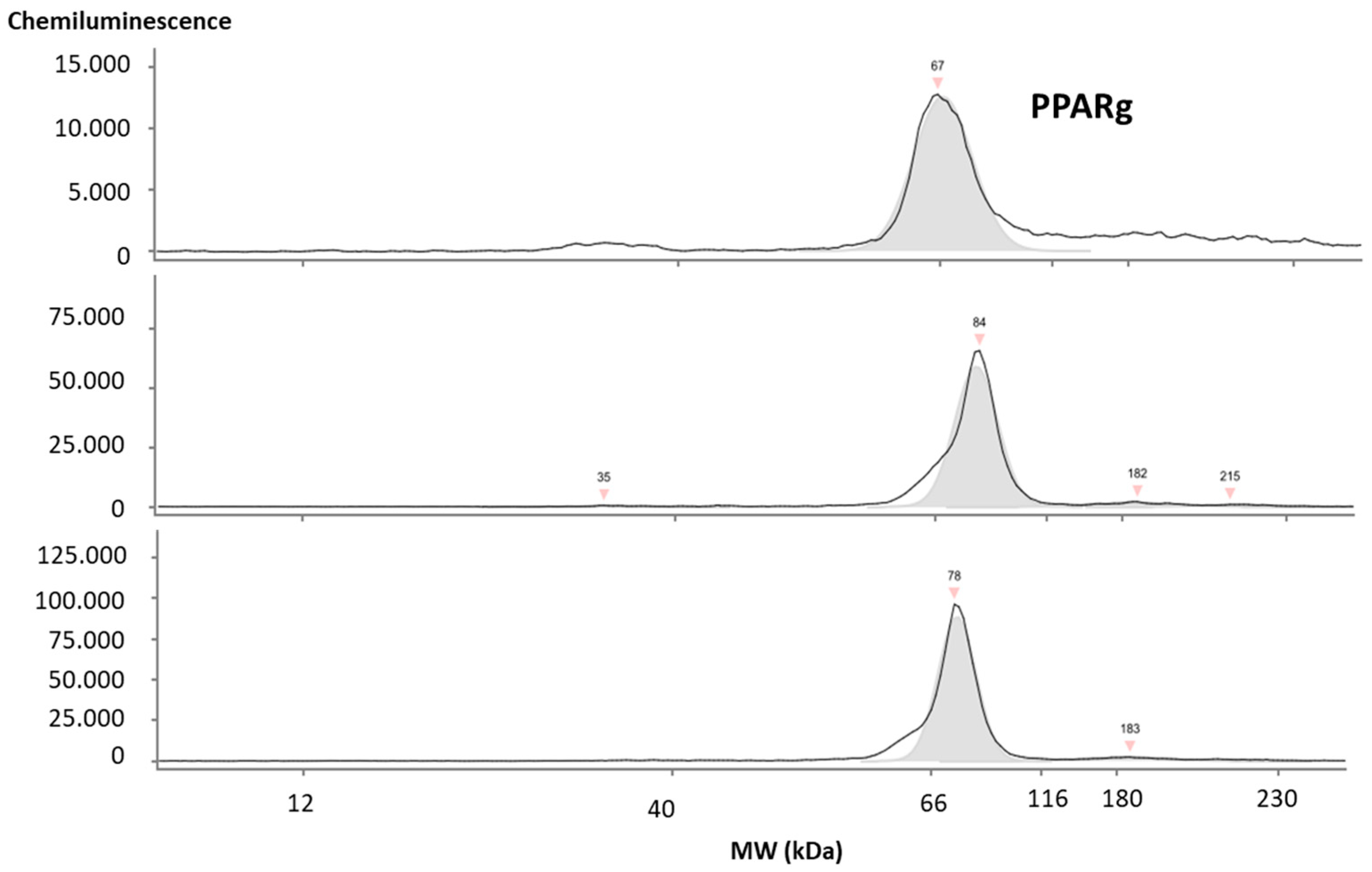 Nutrients 16 02633 g002 Nutrients 16 02633 g002