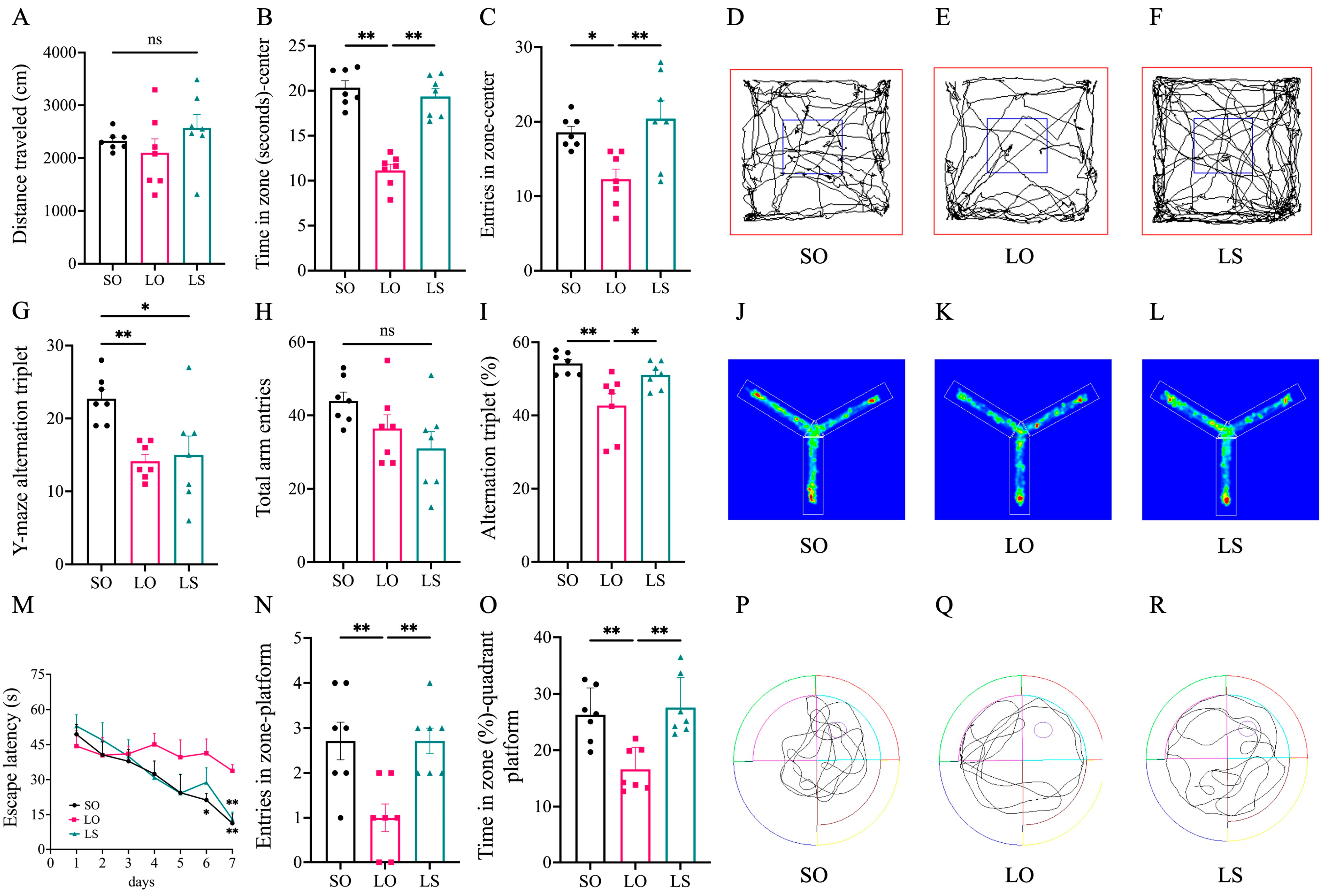 Nutrients 16 02641 g002