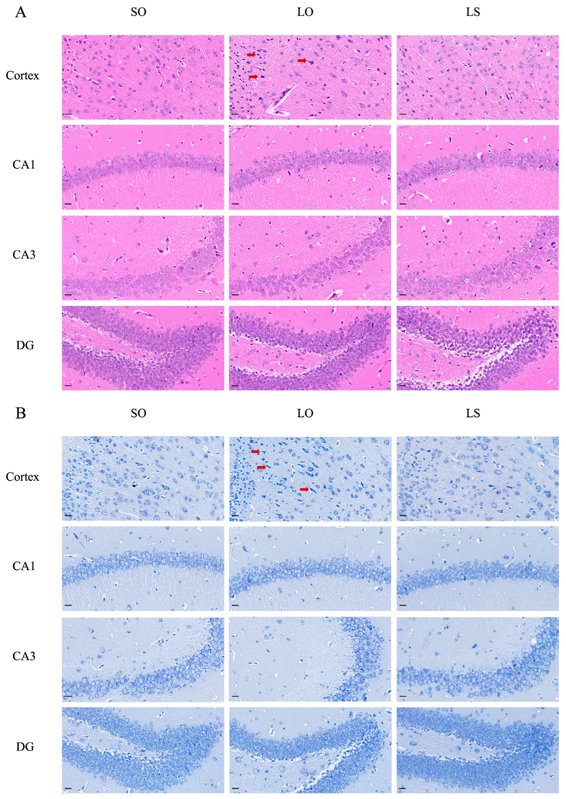 Nutrients 16 02641 g004