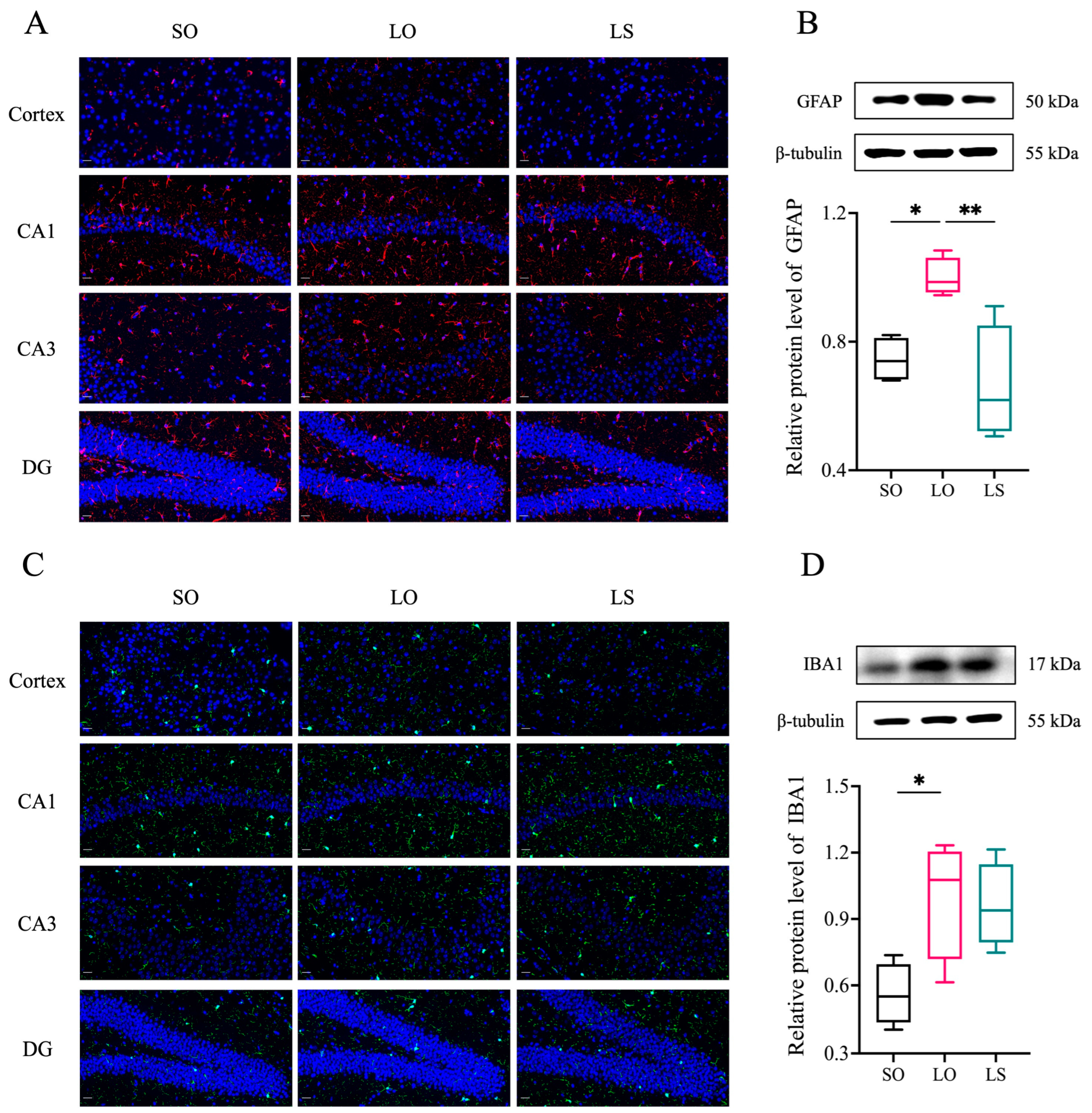 Nutrients 16 02641 g005
