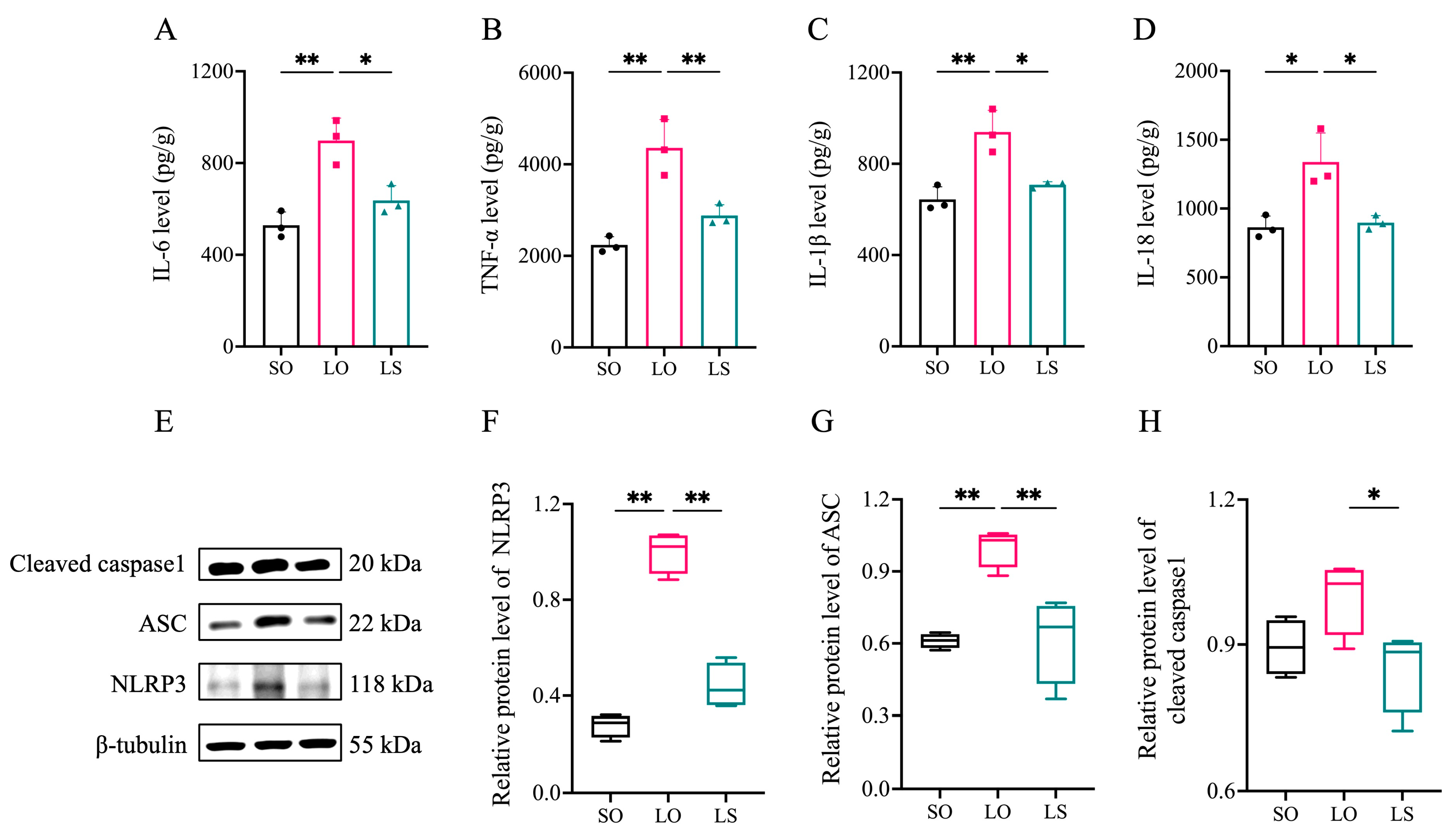Nutrients 16 02641 g006