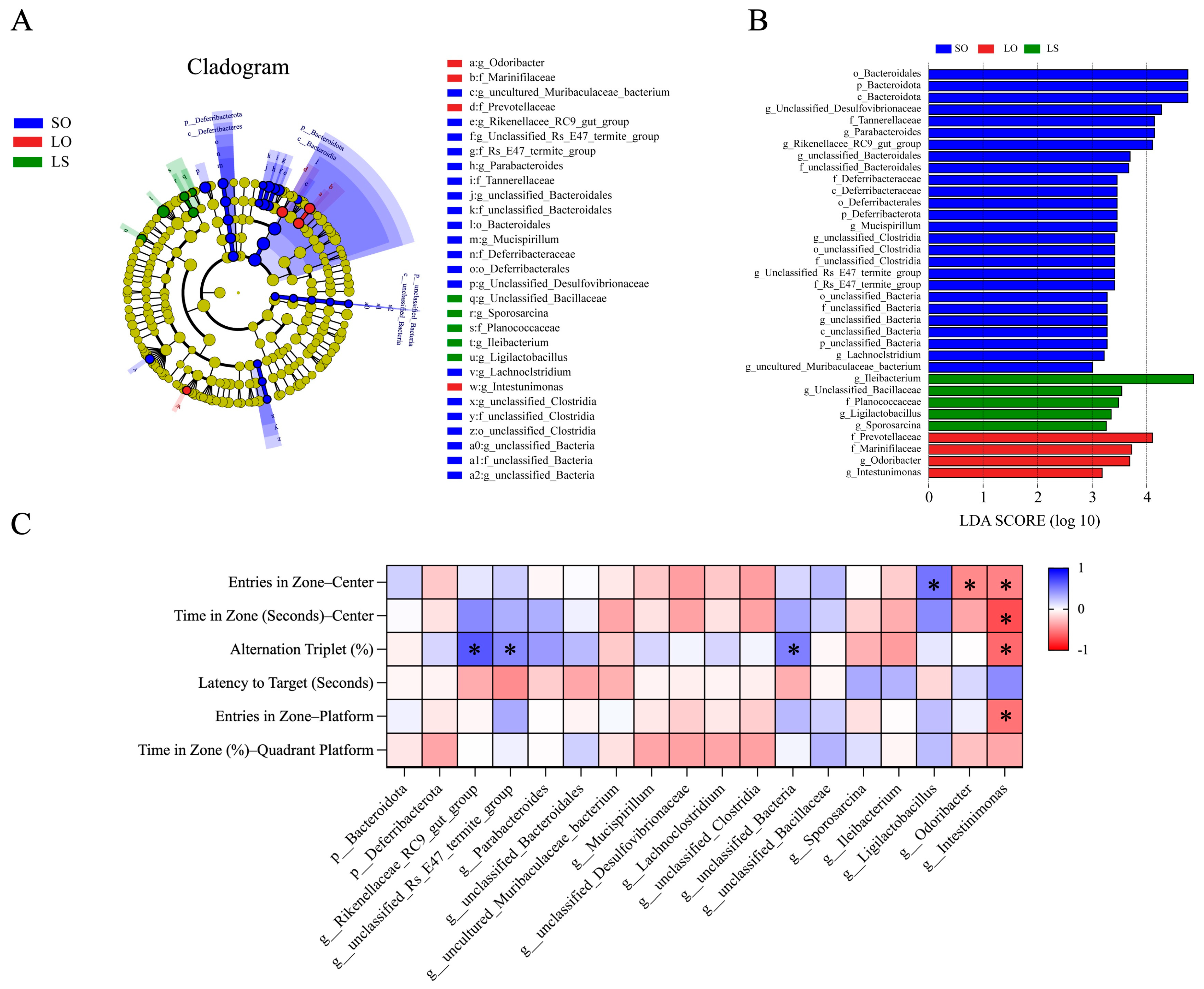 Nutrients 16 02641 g008