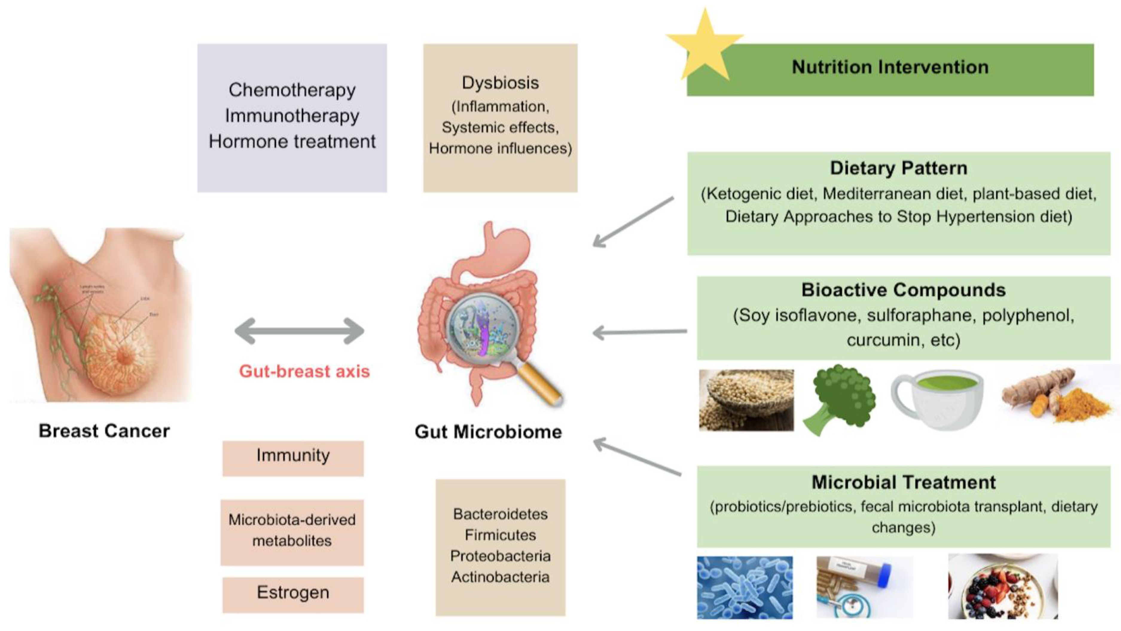 Nutrients 16 02644 g001