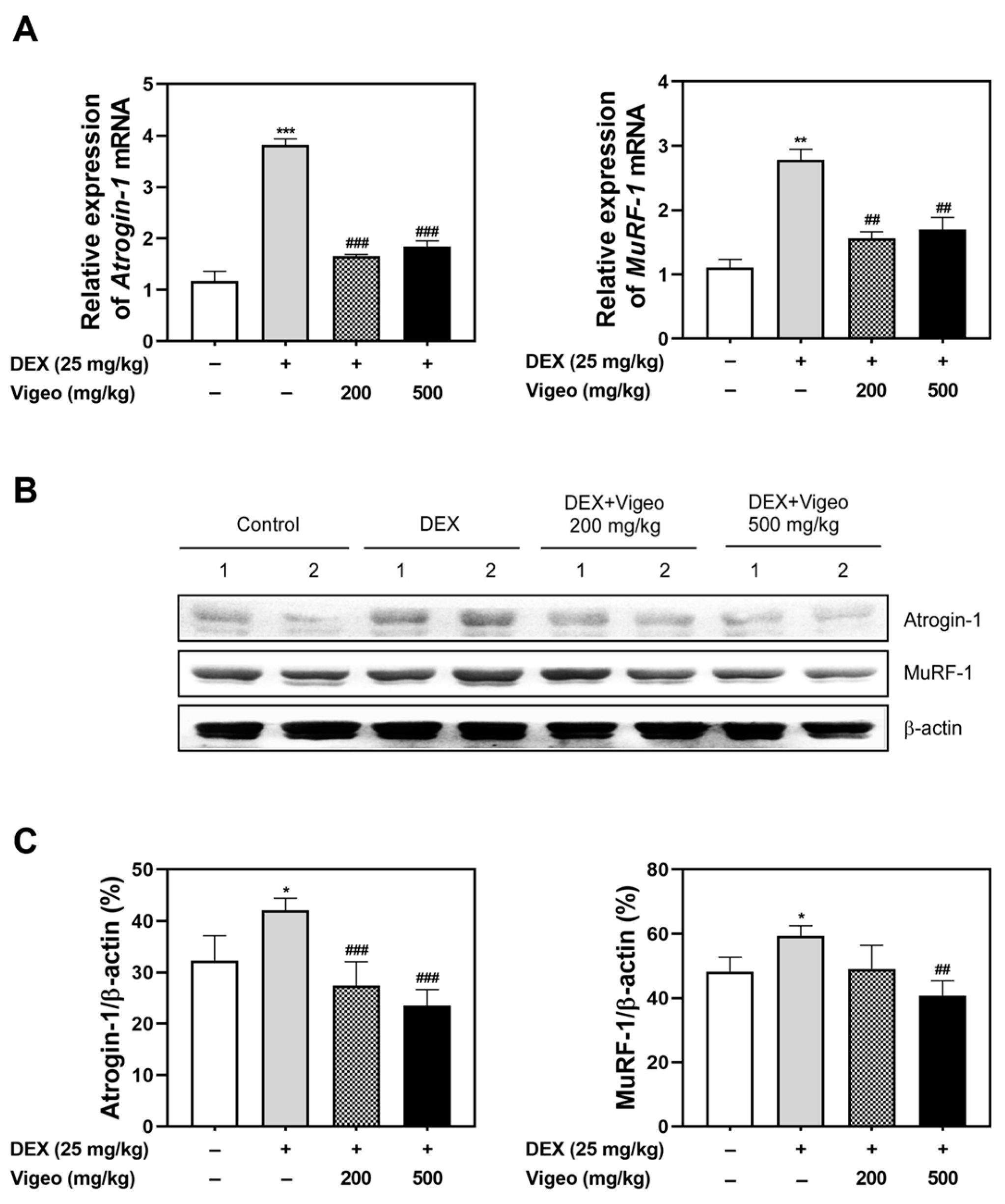 Nutrients 16 02687 g003