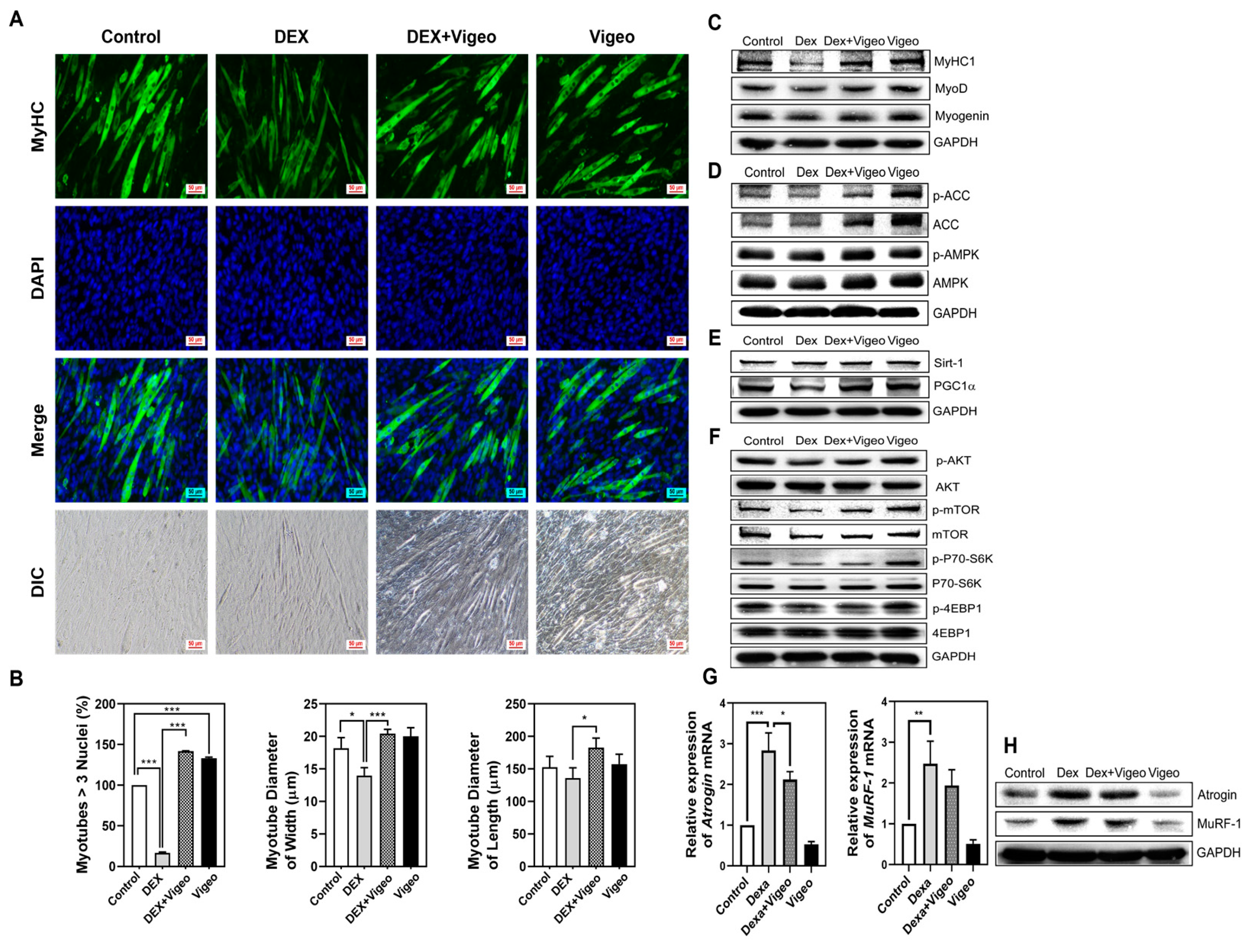 Nutrients 16 02687 g006
