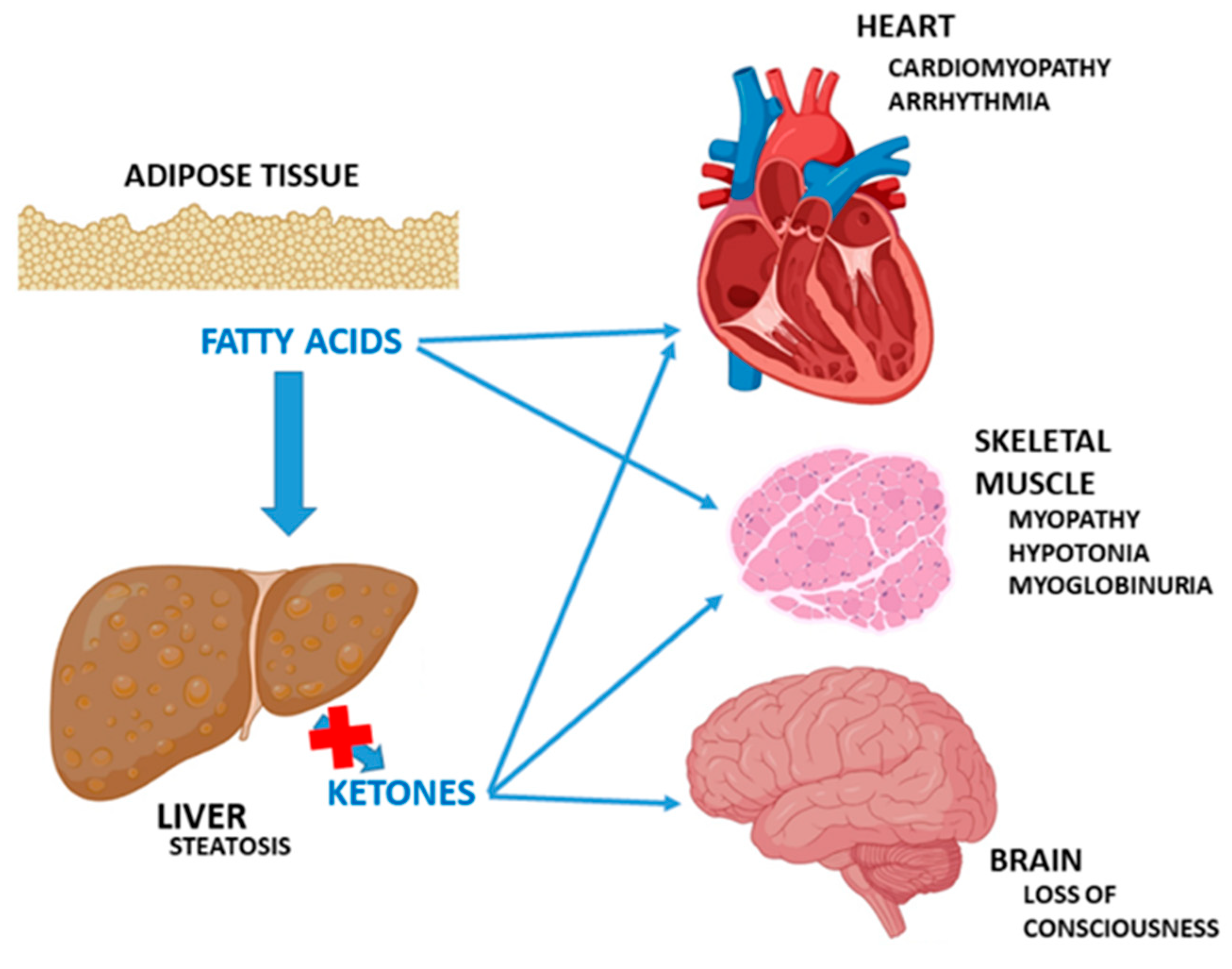 Nutrients 16 02707 g002