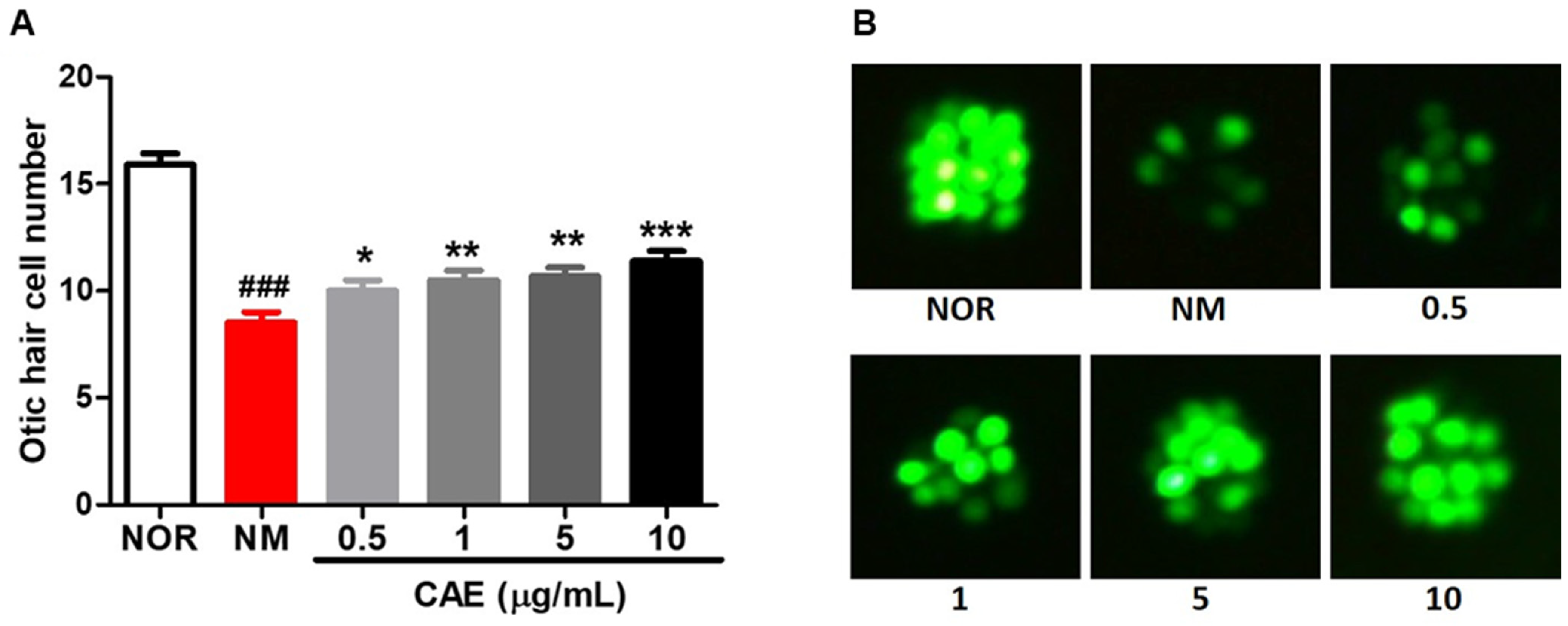 Nutrients 16 02716 g001