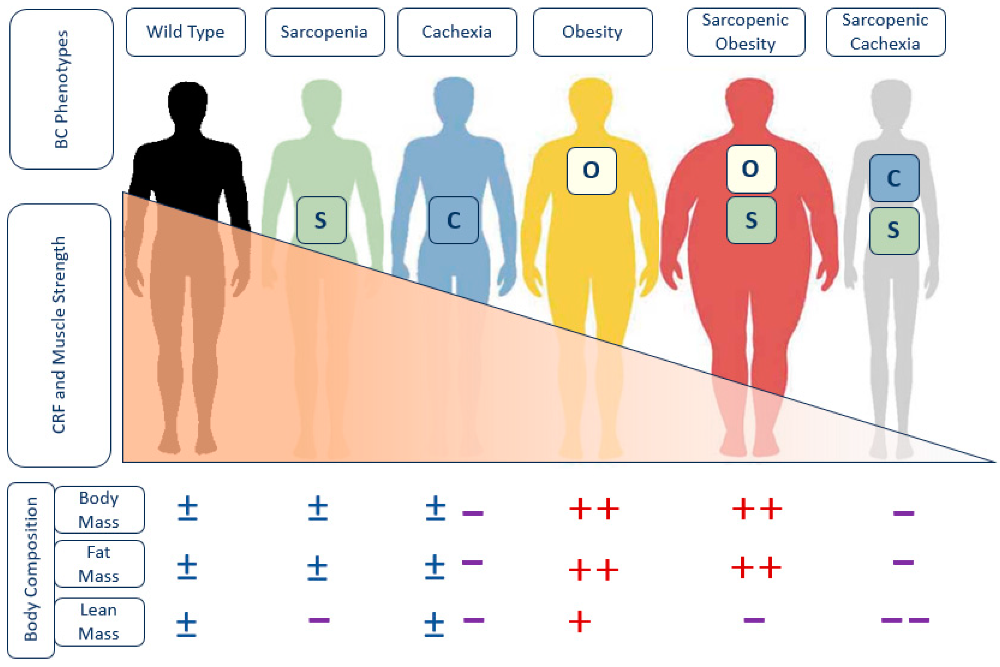 Nutrients 16 02717 g001