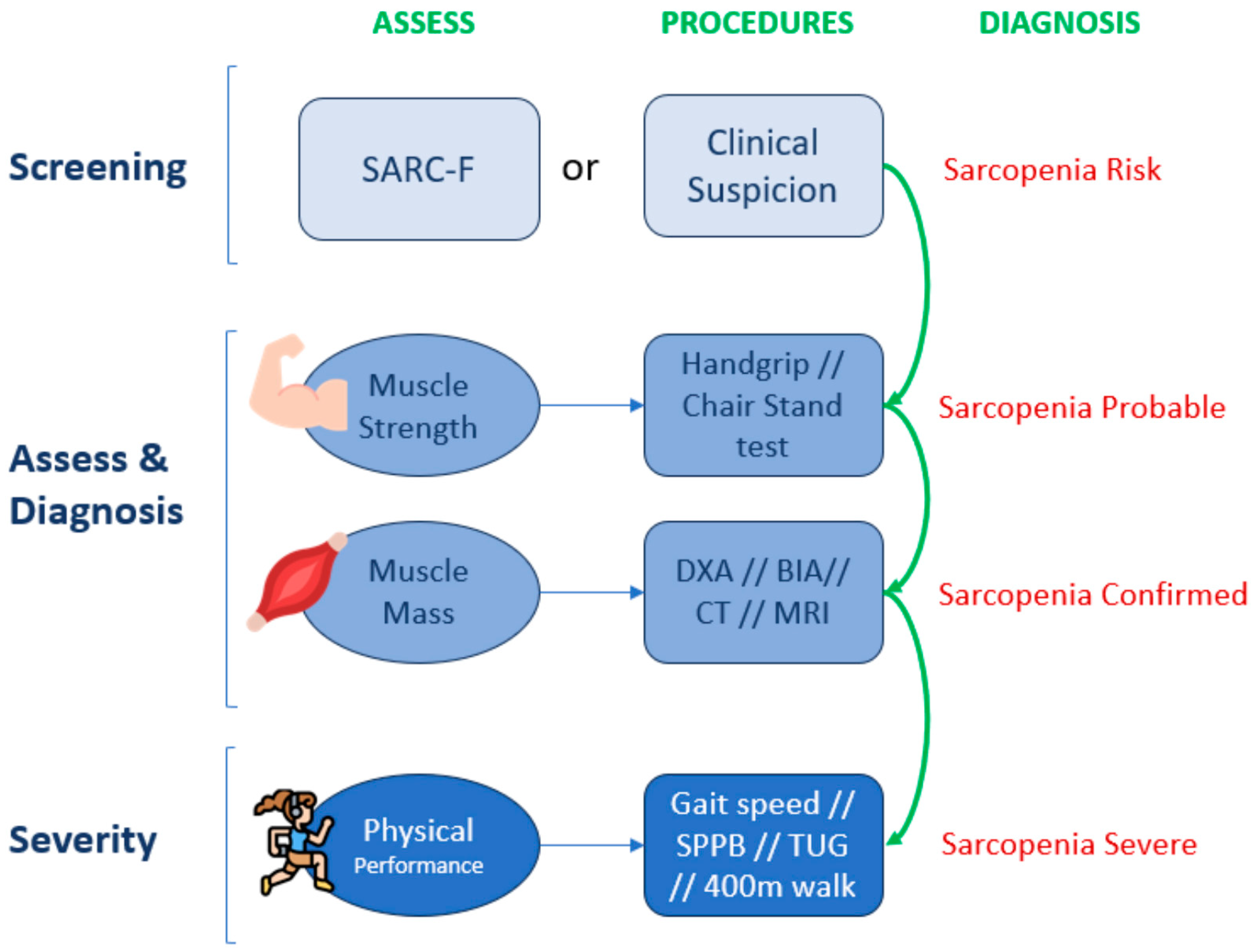 Nutrients 16 02717 g006